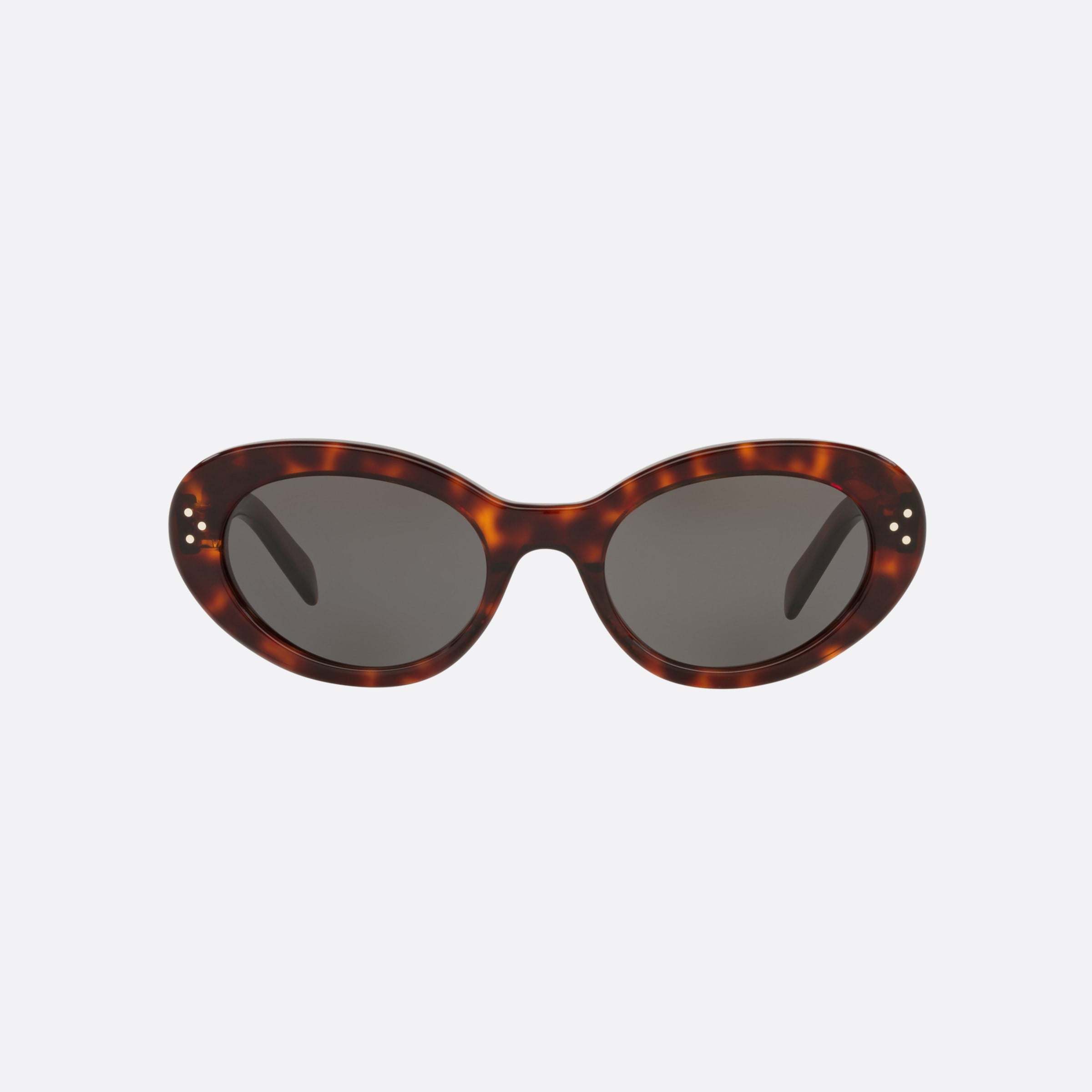 Celine 53mm Cl40193i Tortoise Cat Eye Women Sunglasses - Lifestyle Shot