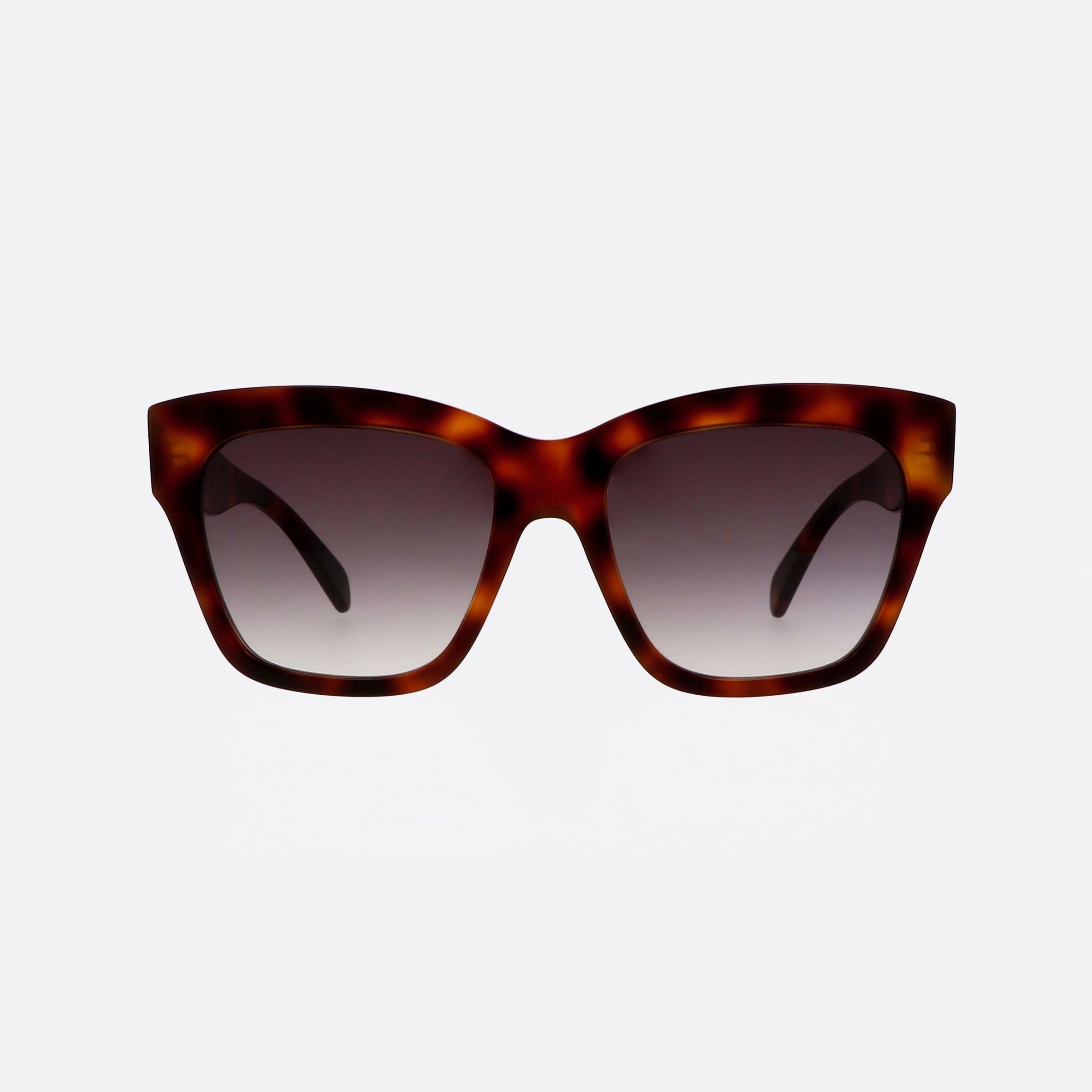 Celine 55mm Triomphe Cl40253i 53k Havana Geometric Women Sunglasses - Side View