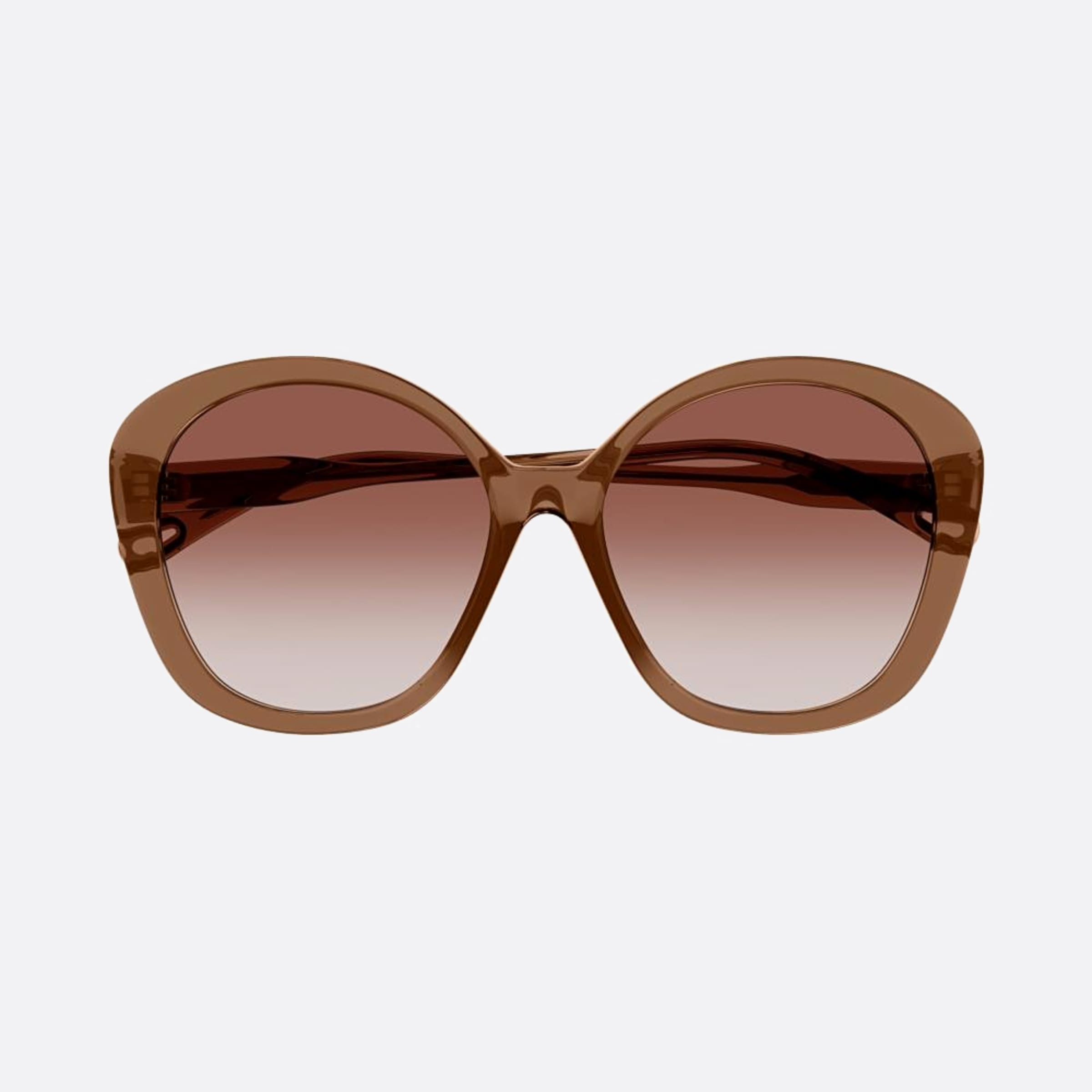 Chloe 55mm Brown Pantos Women Sunglasses - Main View