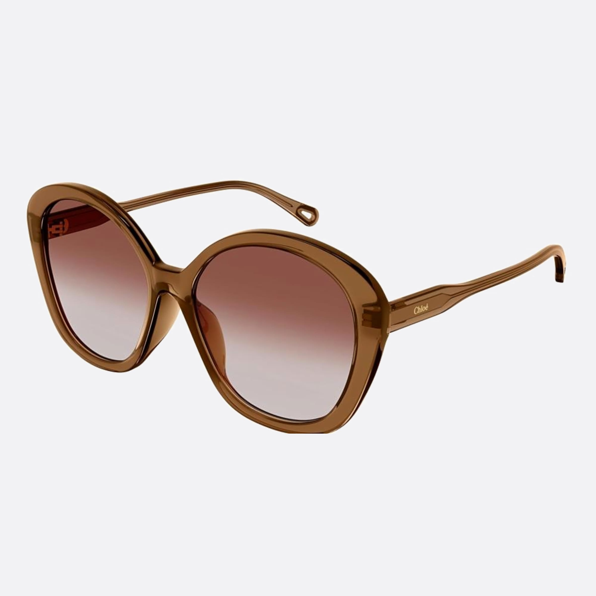 Chloe 55mm Brown Pantos Women Sunglasses - Side View