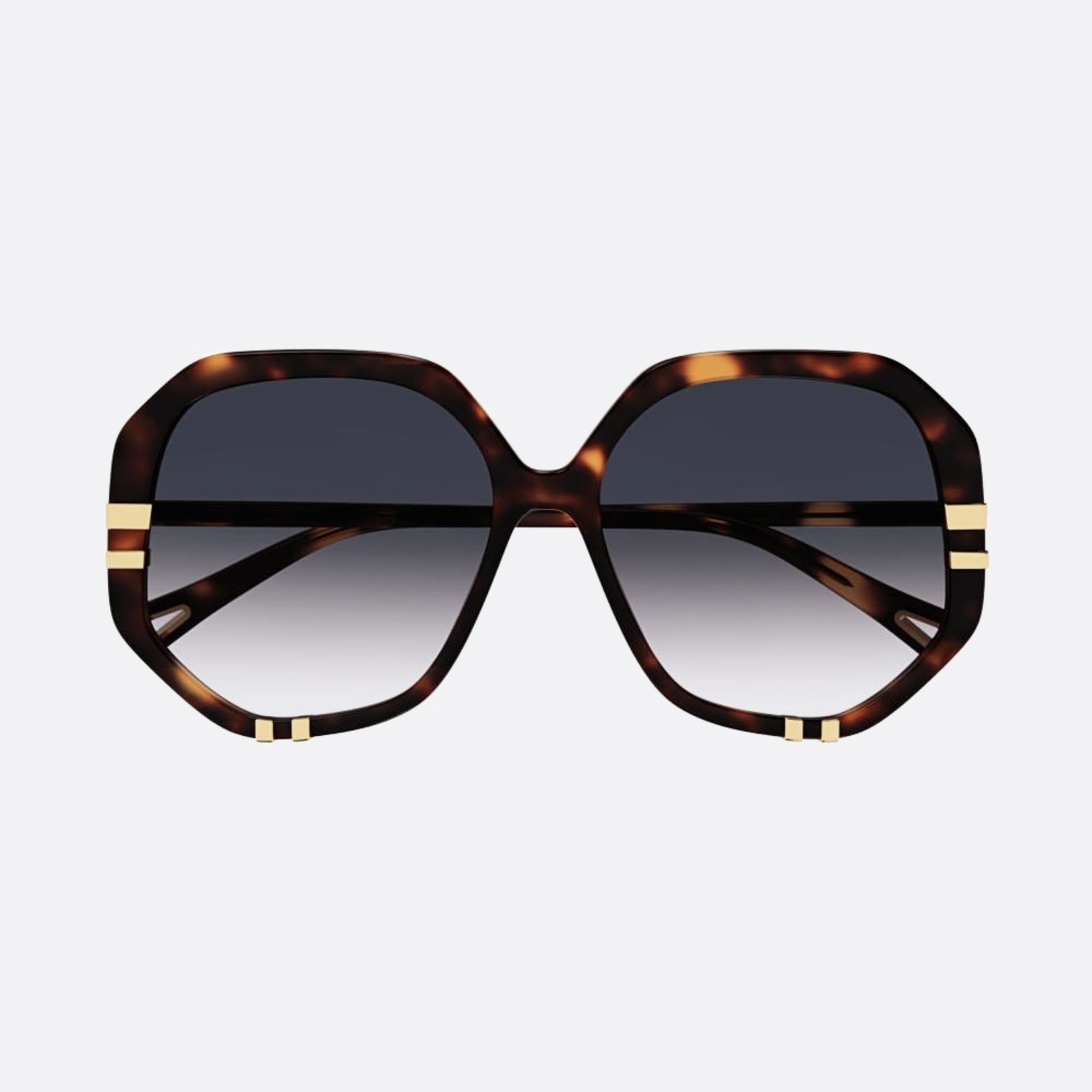 Chloe 58mm Havana Oversize Women Sunglasses - Main View