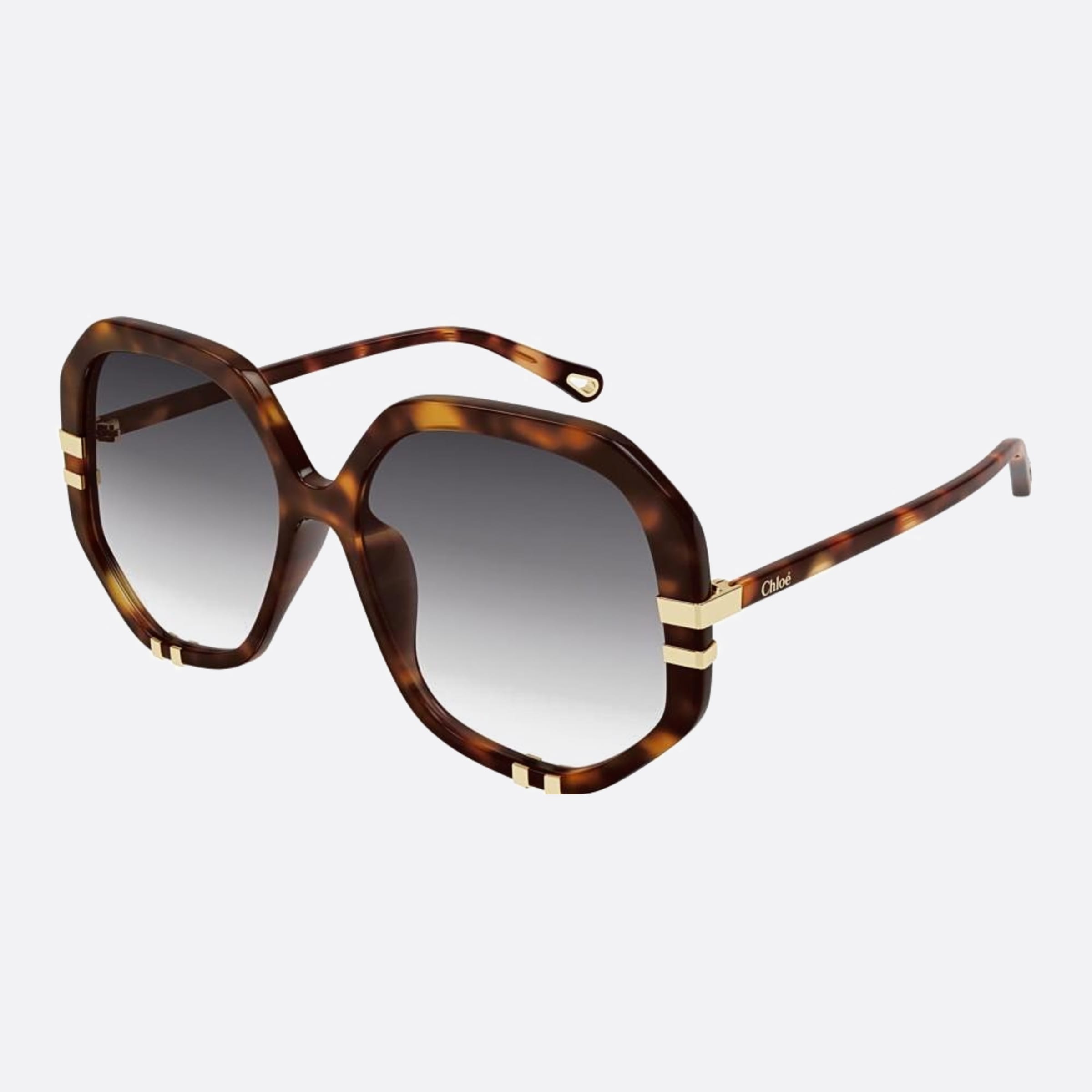 Chloe 58mm Havana Oversize Women Sunglasses - Side View