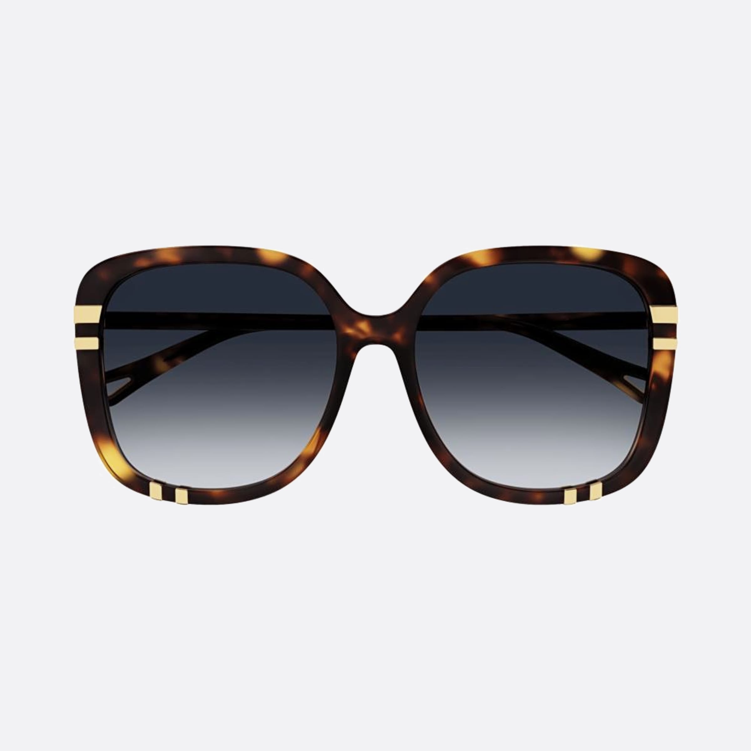 Chloe 59mm Ch0106sa Hvbl Havana Oversize Women Sunglasses - Main View