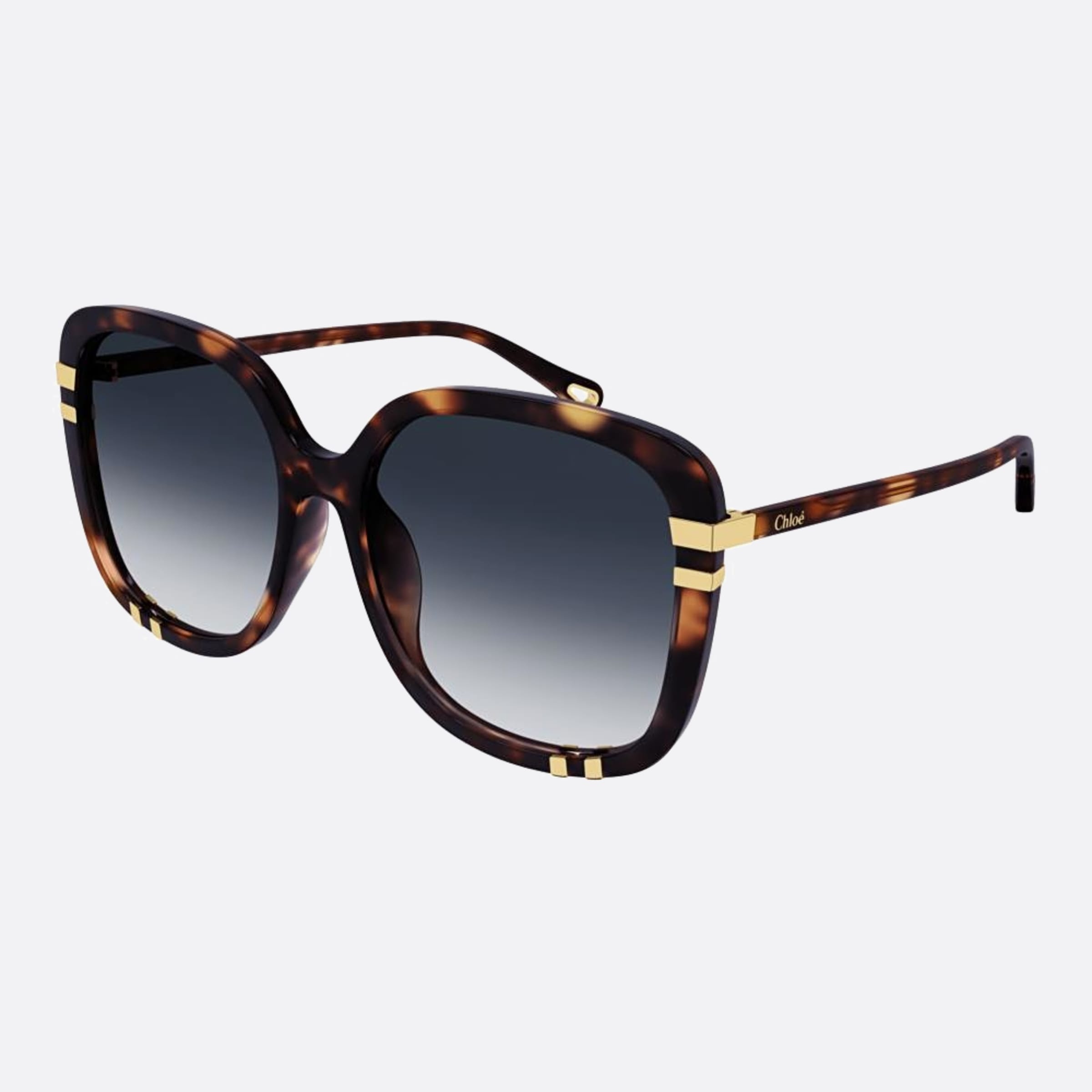 Chloe 59mm Ch0106sa Hvbl Havana Oversize Women Sunglasses - Side View