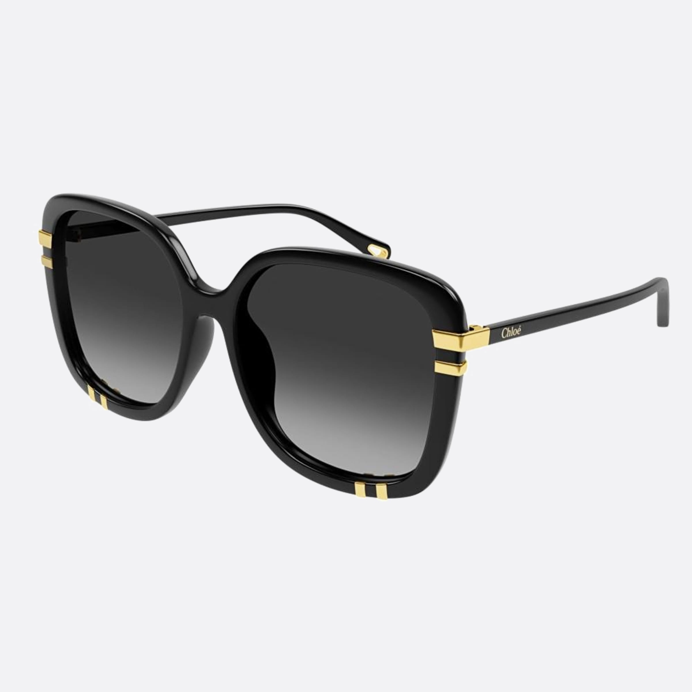 Chloe 59mm Ch0106sa Black Oversize Women Sunglasses - Side View