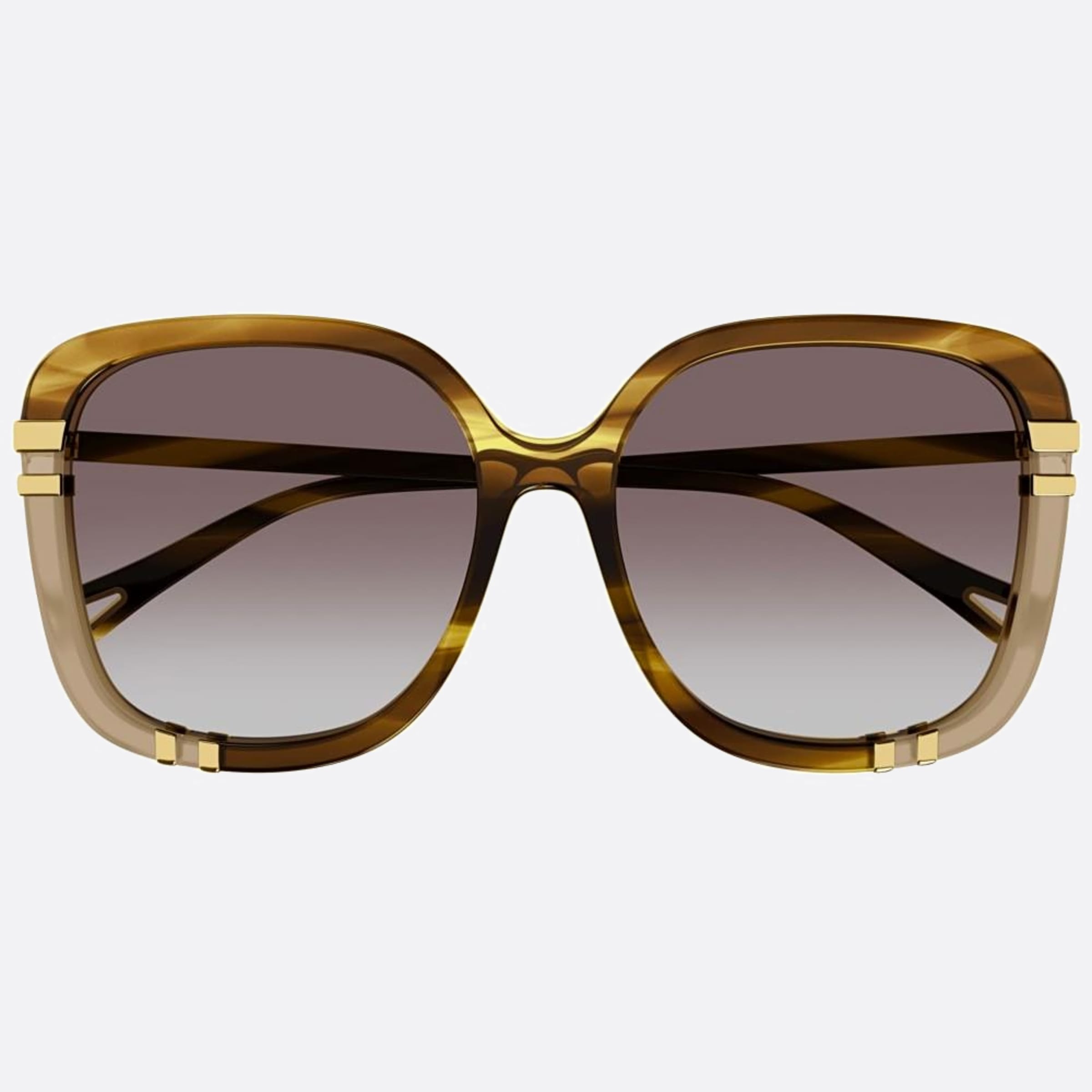 Chloe 59mm Ch0106sa Havana Oversize Women Sunglasses - Main View