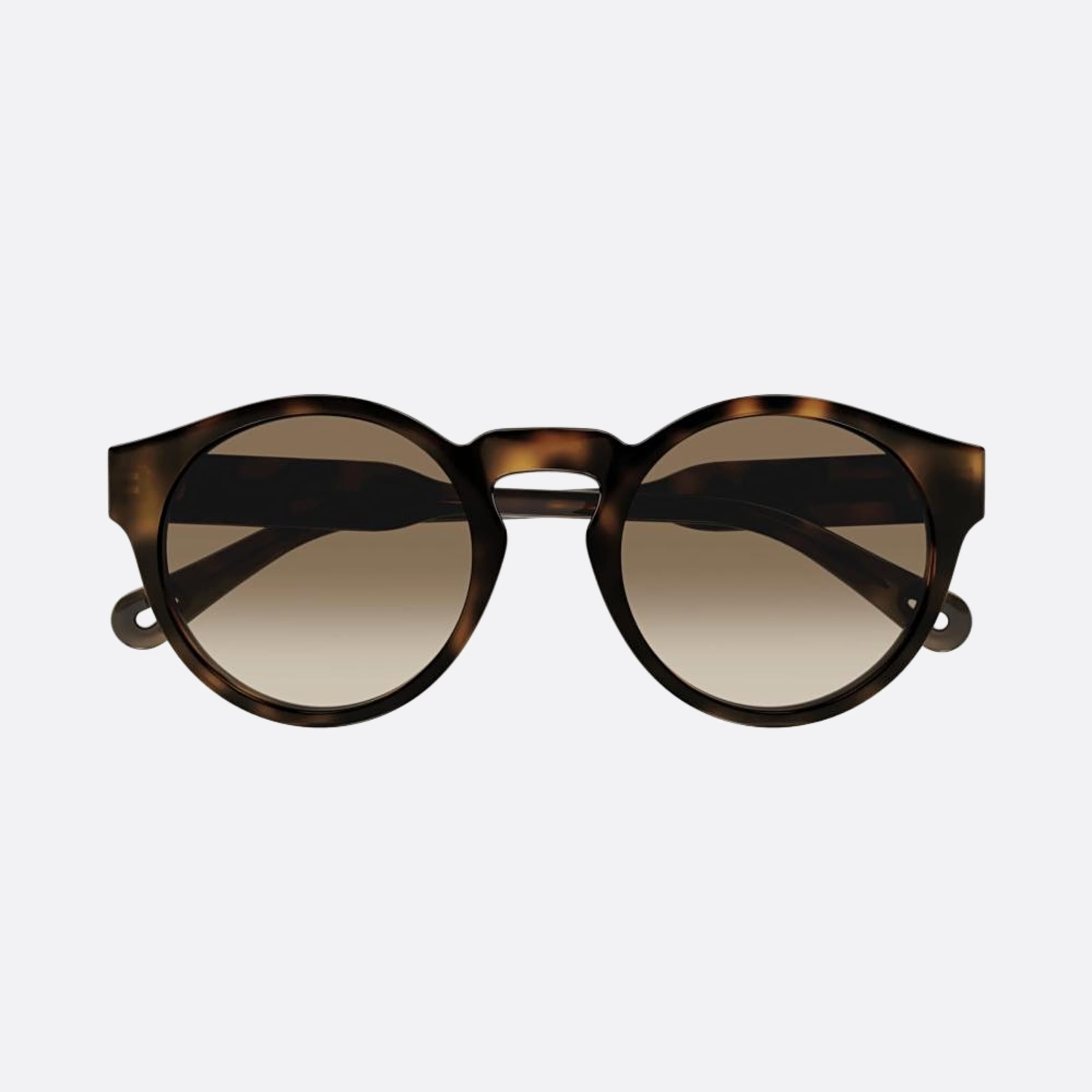 Chloe 52mm Havana Round Women Sunglasses - Main View