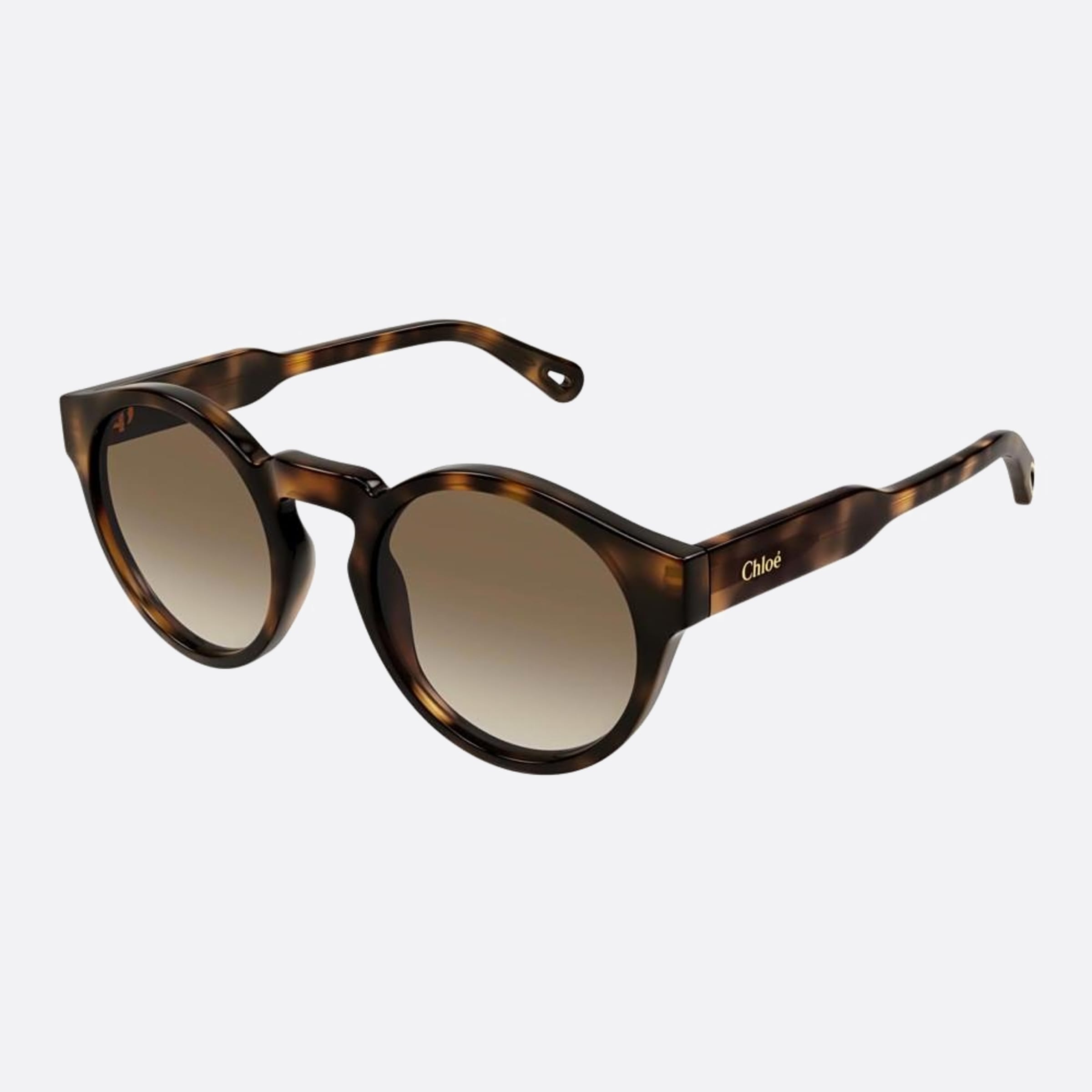 Chloe 52mm Havana Round Women Sunglasses - Side View