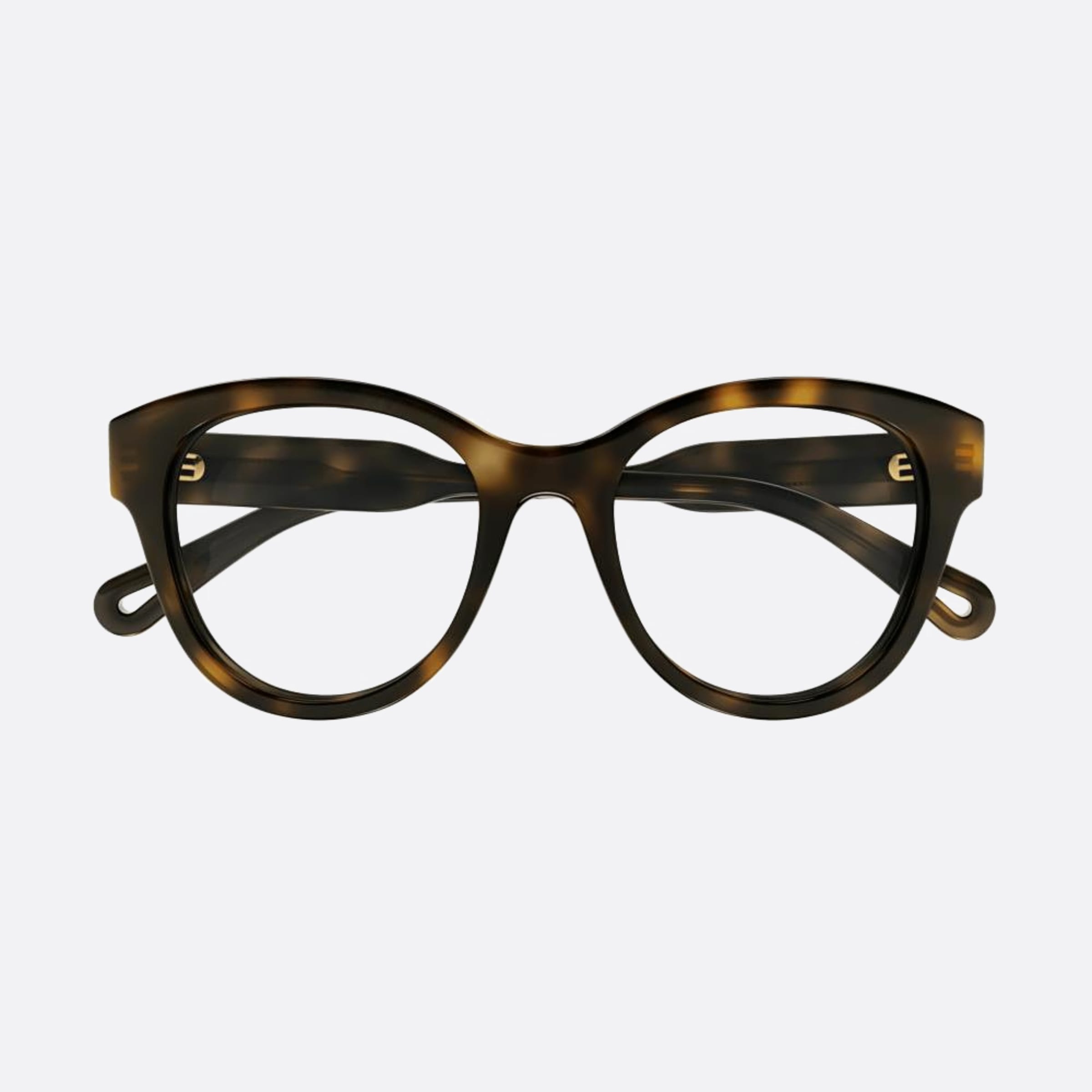 Chloe 49mm Havana Round Women Eyeglasses - Main View