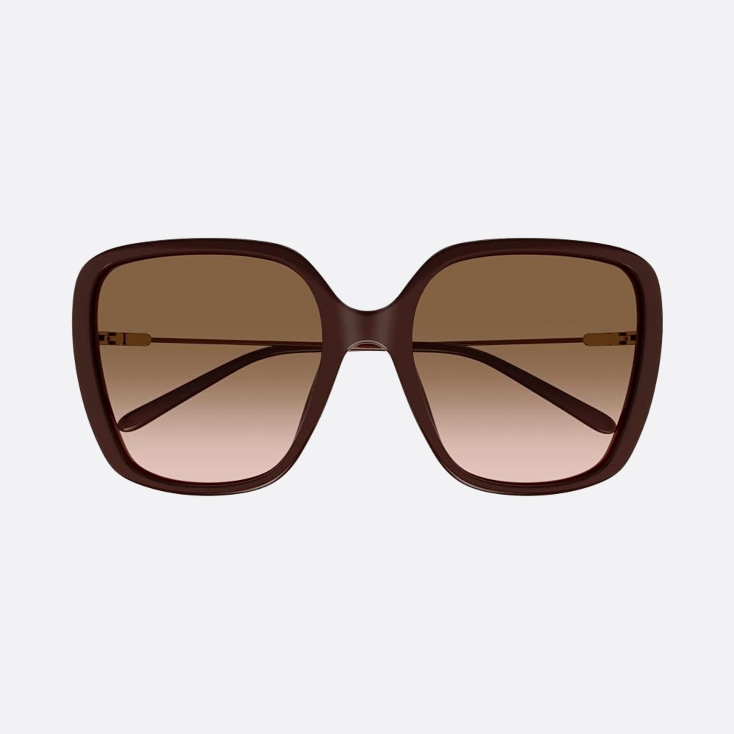 Chloe 59mm Ch0173sa Brown Oversize Women Sunglasses - Main View