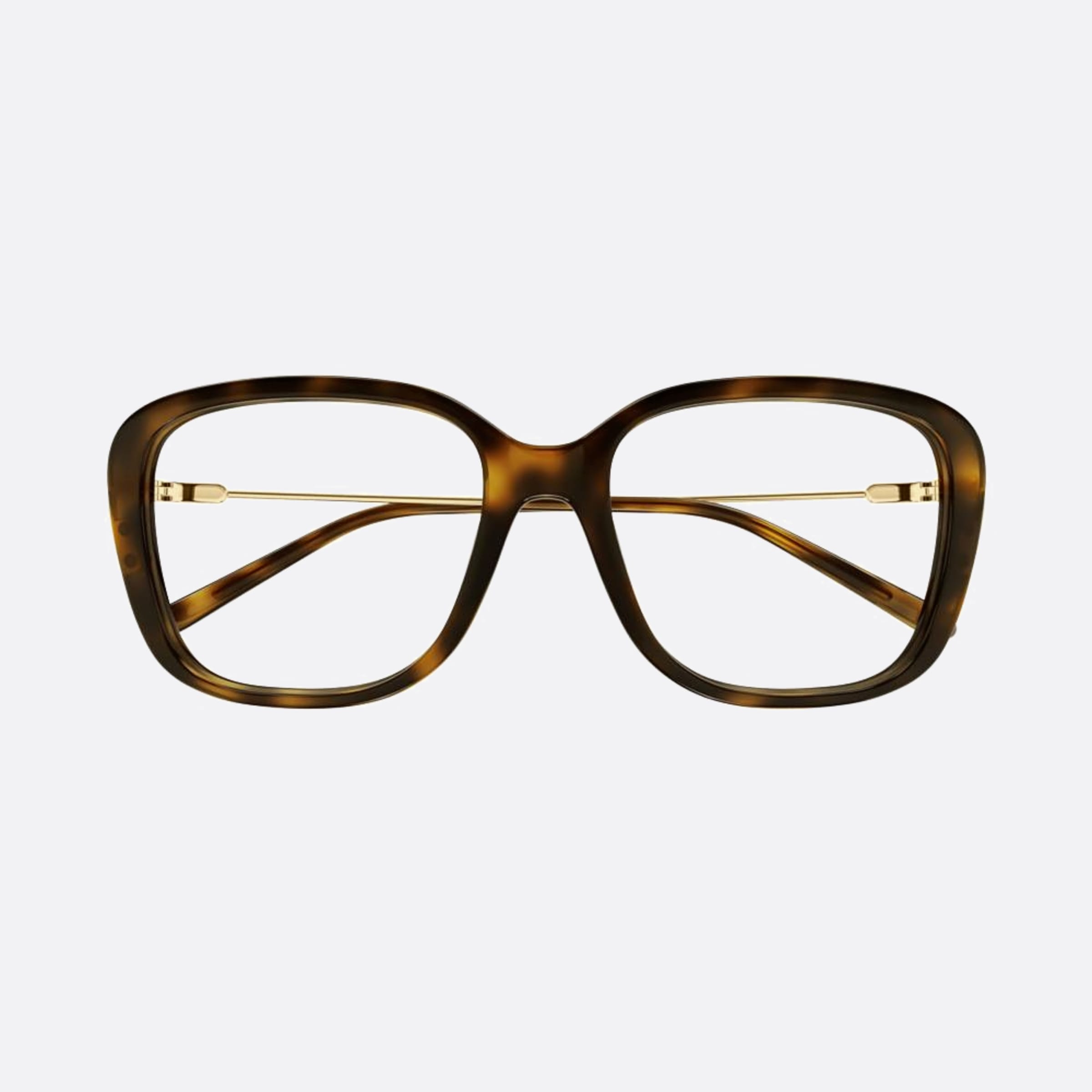 Chloe 54mm Havana Geometric Women Eyeglasses - Main View