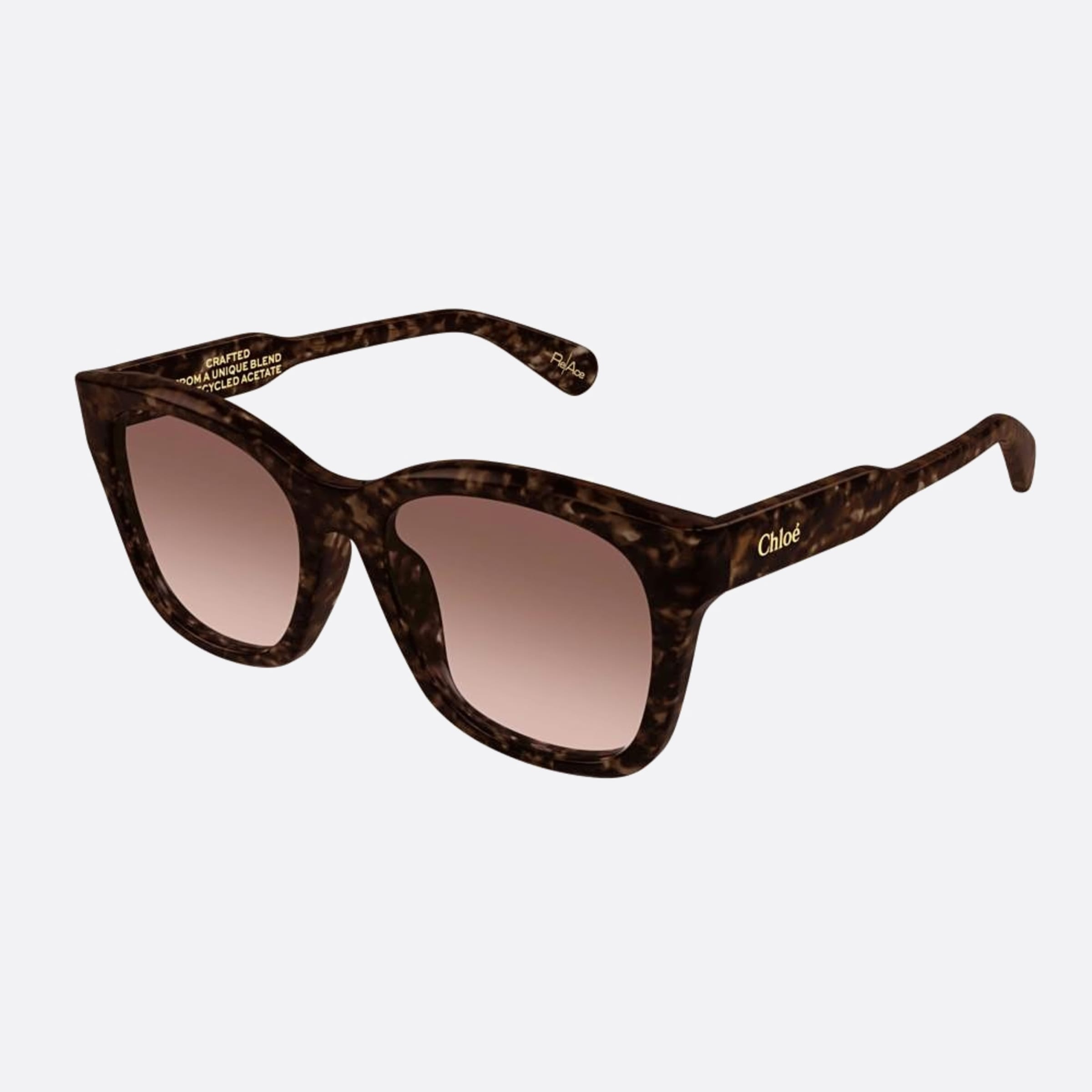 Chloe 55mm Ch0194sk Havana Squared Women Sunglasses - Side View