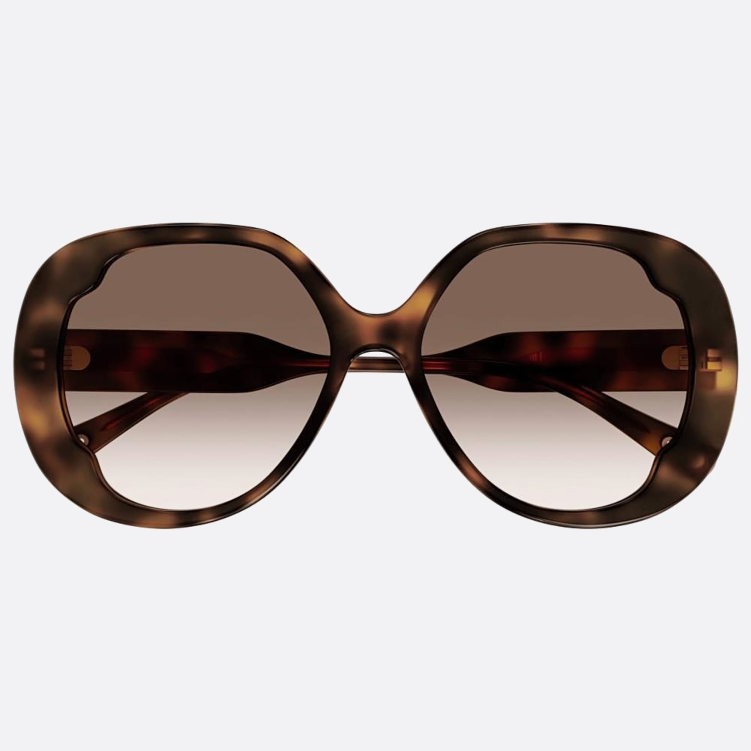 Chloe 56mm Hbb Havana Butterfly Women Sunglasses - Main View