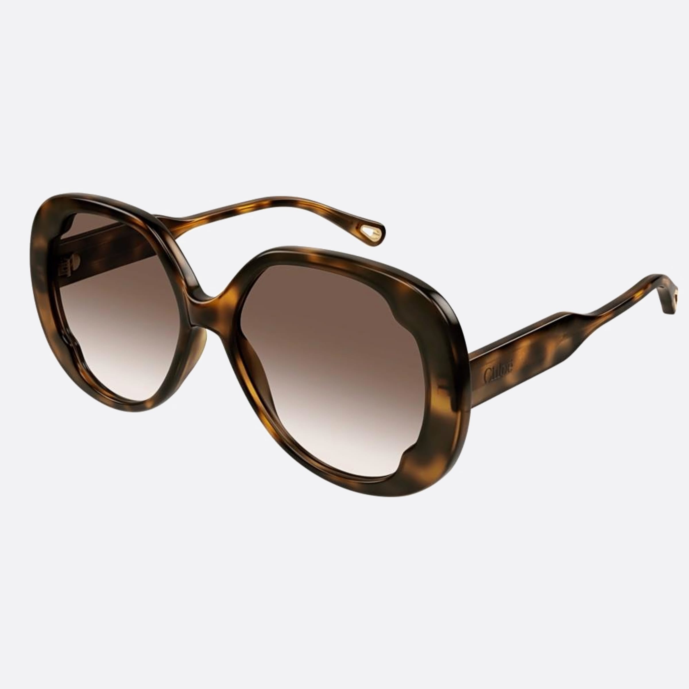 Chloe 56mm Hbb Havana Butterfly Women Sunglasses - Side View