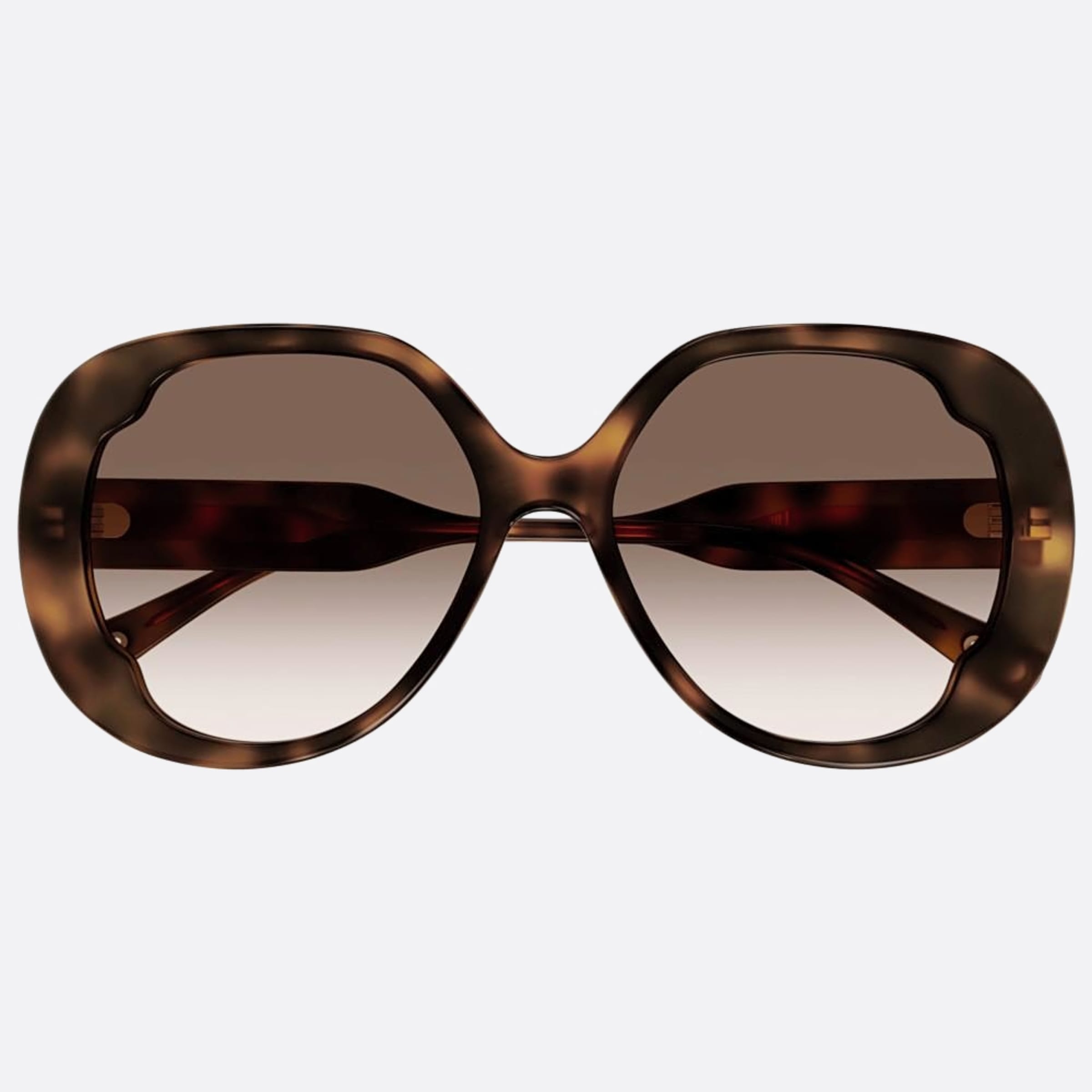Chloe 56mm Ch0195sk Hbb Havana Butterfly Women Sunglasses - Main View
