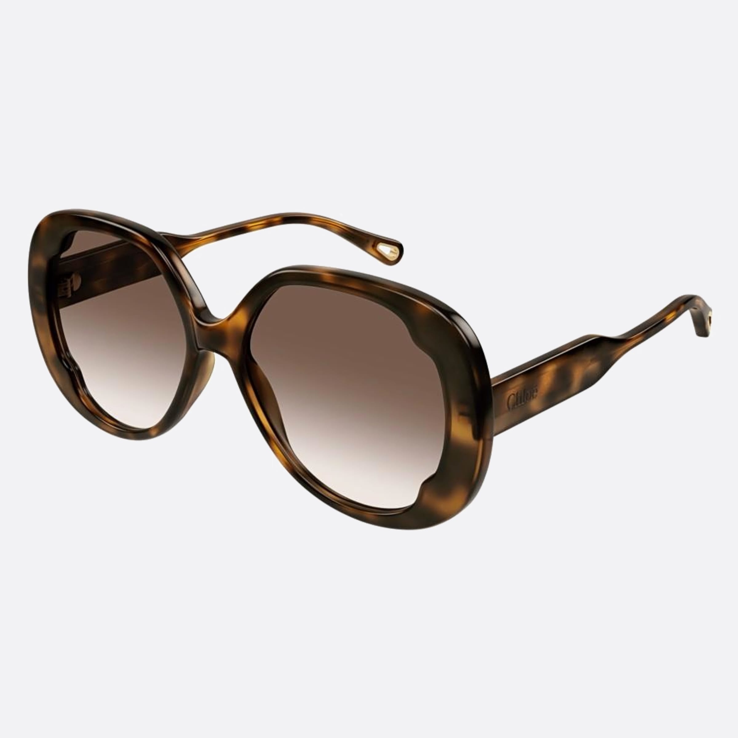 Chloe 56mm Ch0195sk Hbb Havana Butterfly Women Sunglasses - Side View