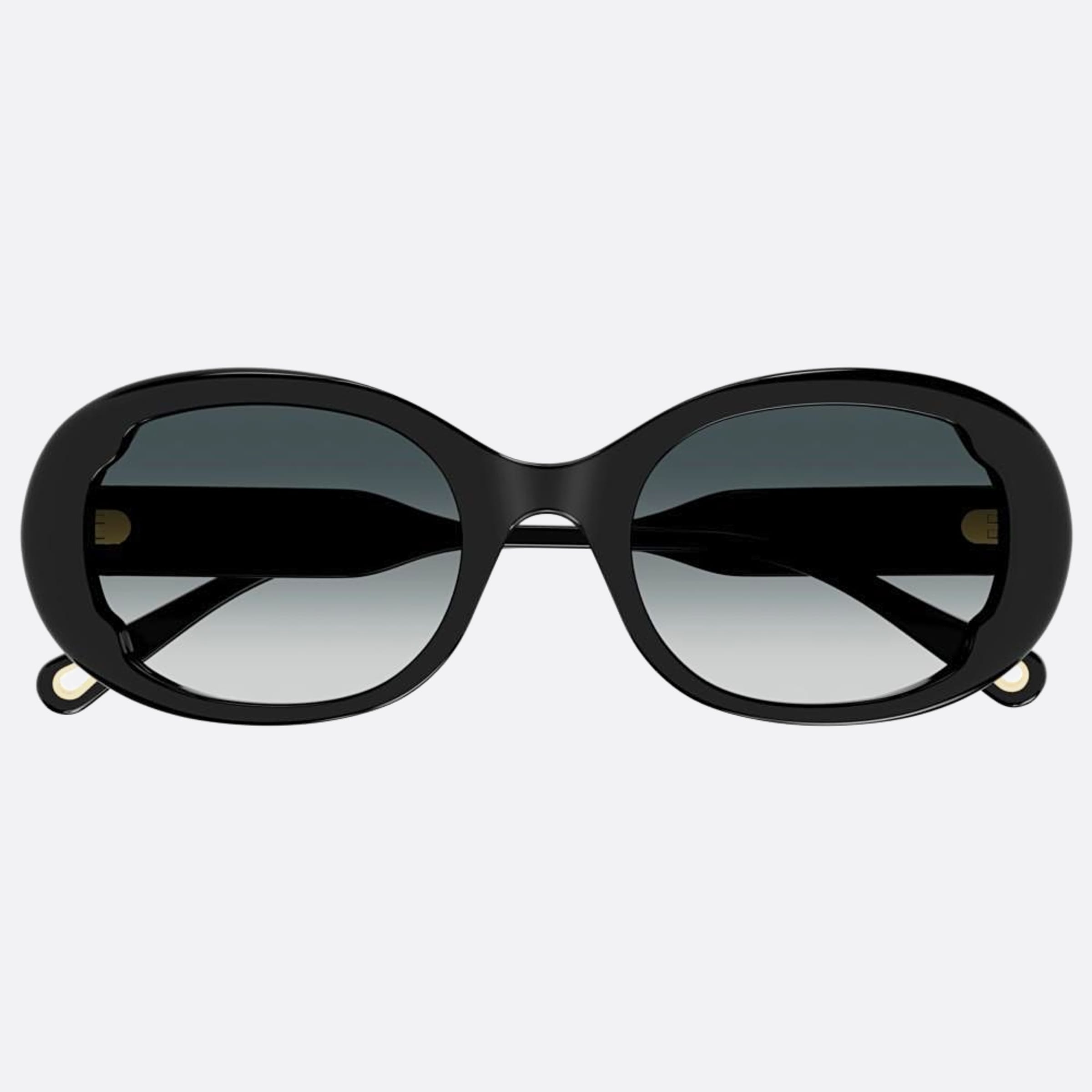 Chloe 54mm Ch0197sa Black Oval Women Sunglasses - Main View