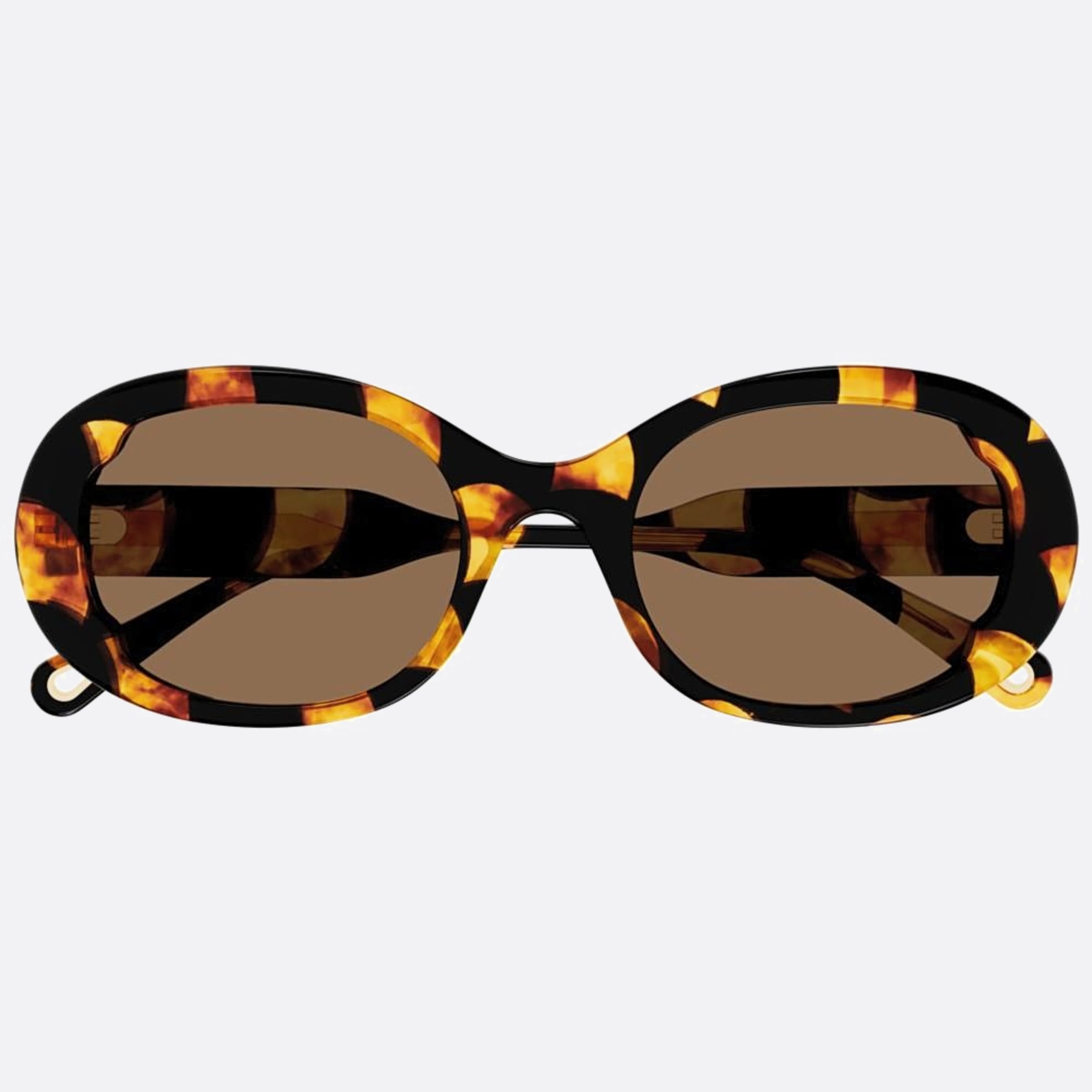 Chloe 54mm Ch0197sa Havana Oval Women Sunglasses - Main View