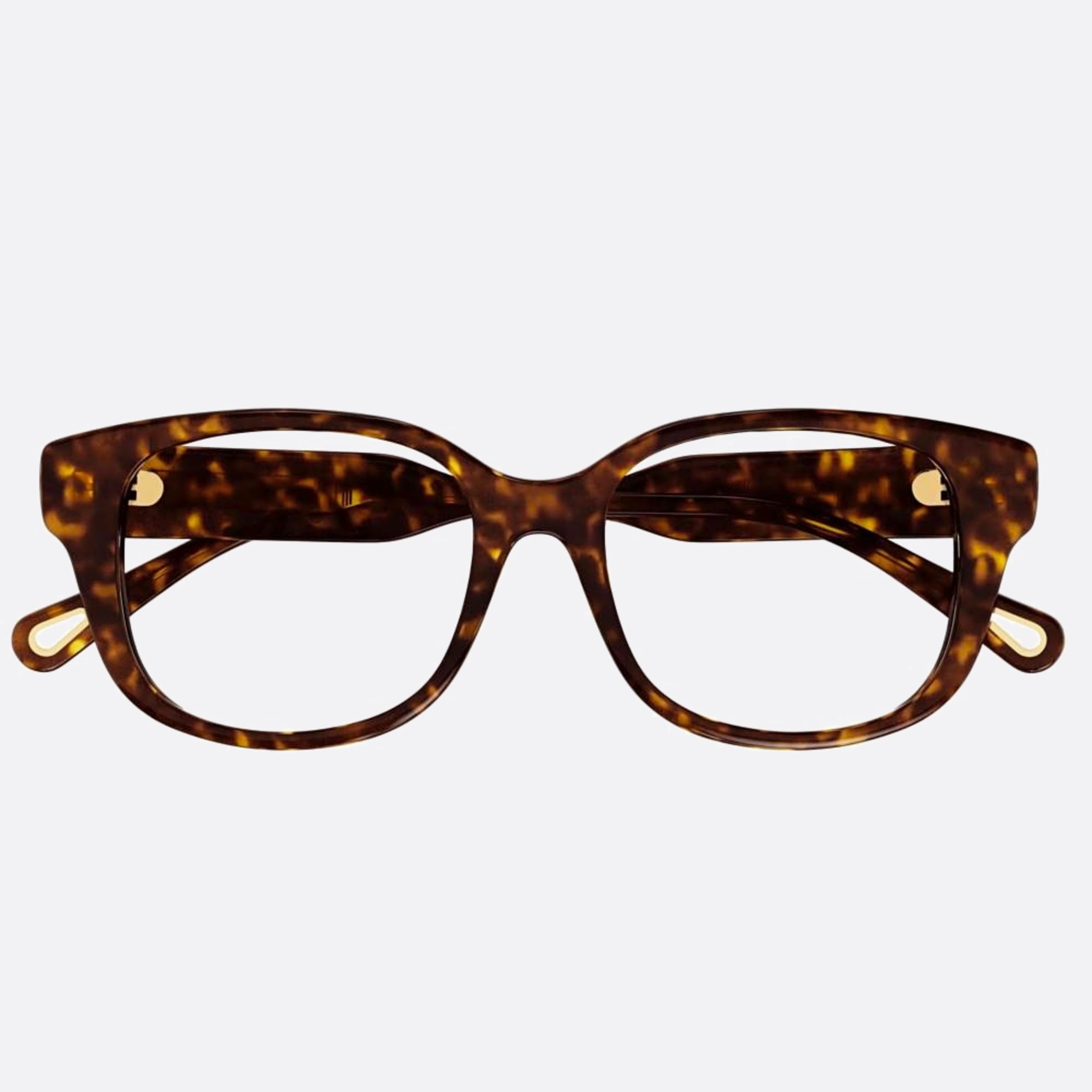 Chloe 50mm Havana Squared Women Eyeglasses - Main View