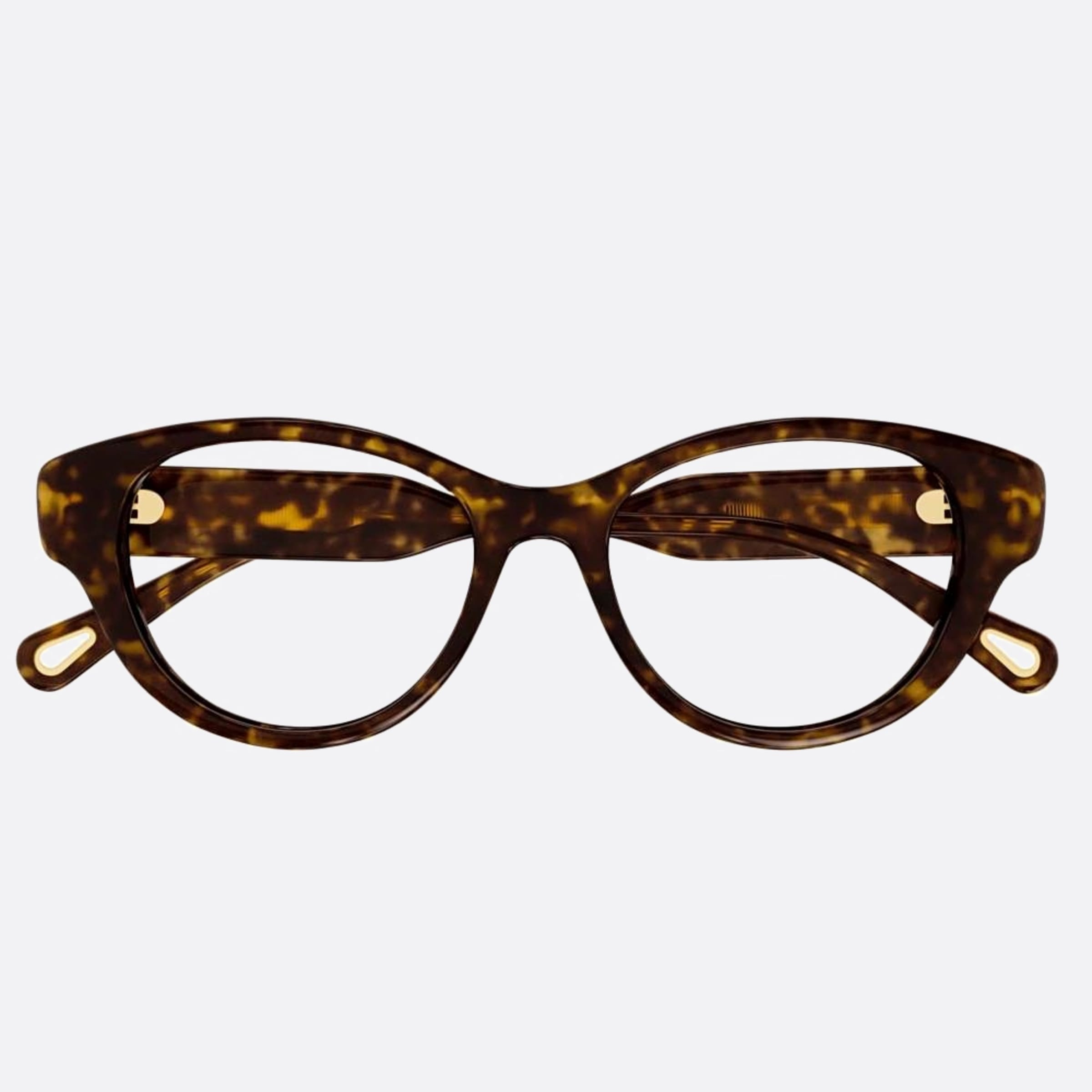 Chloe 50mm Havana Cat Eye Women Eyeglasses - Main View