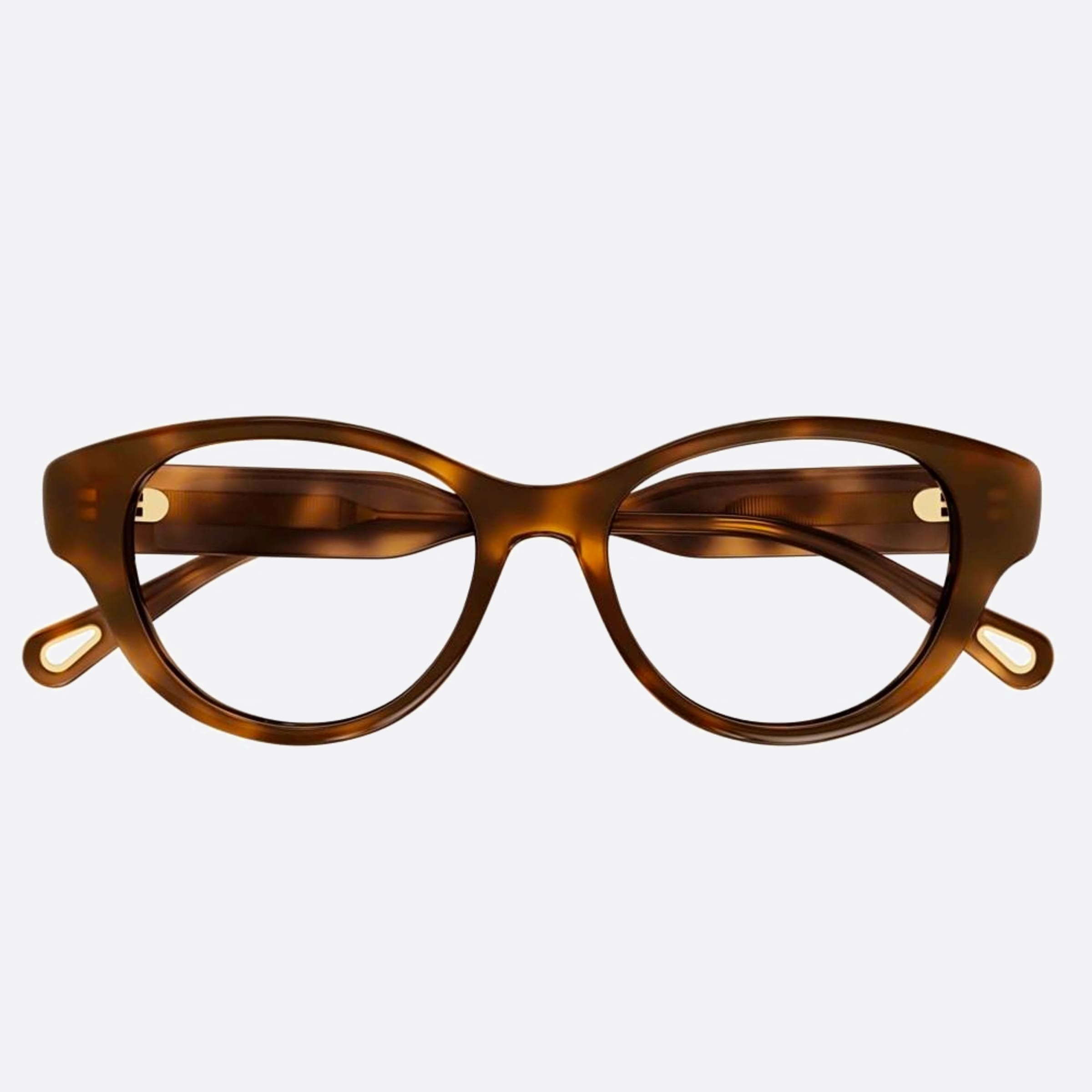 Chloe 50mm Havana Cat Eye Women Eyeglasses - Main View