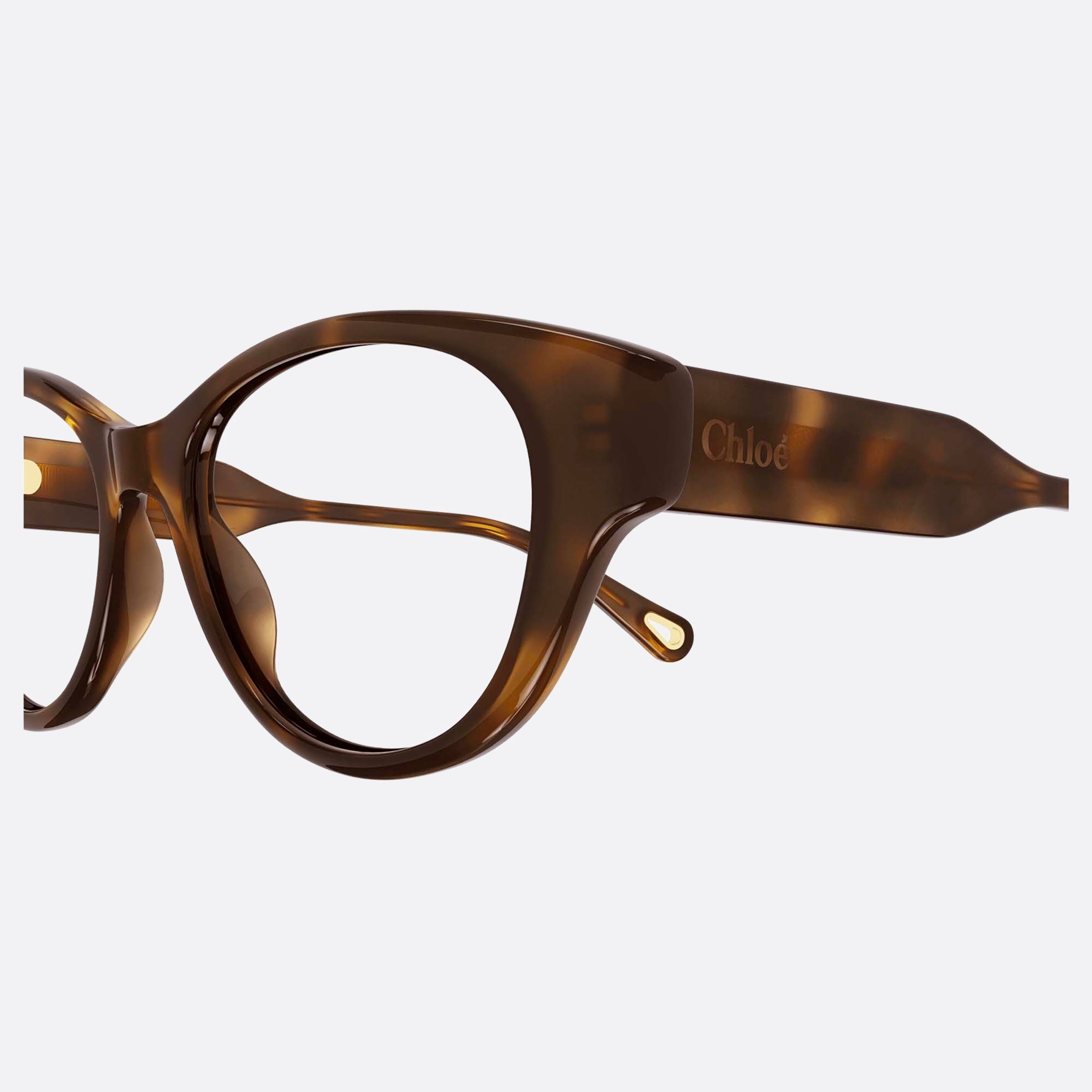 Chloe 50mm Havana Cat Eye Women Eyeglasses - Detail View