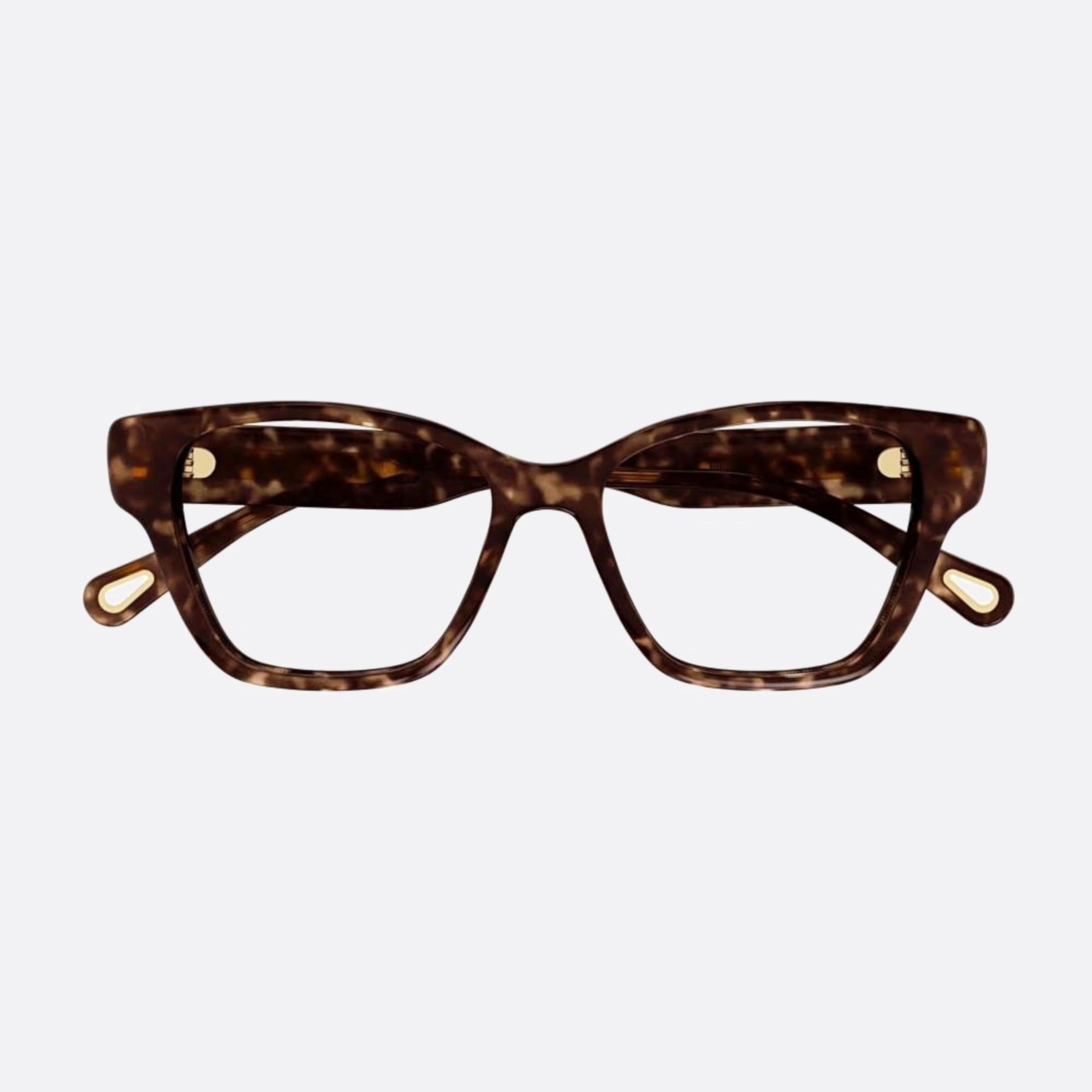 Chloe 53mm Havana Cat Eye Women Eyeglasses - Main View