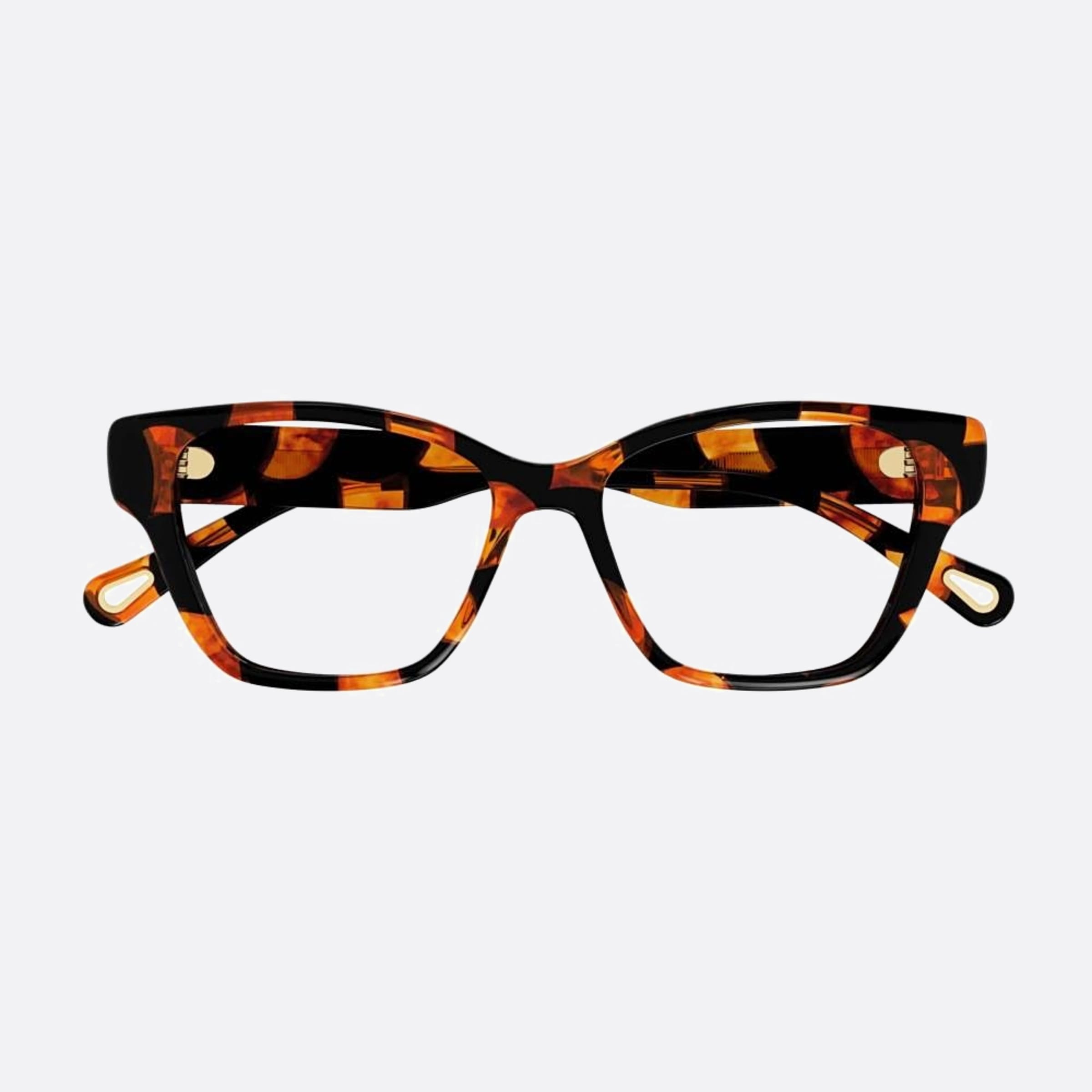 Chloe 53mm Havana Cat Eye Women Eyeglasses - Main View