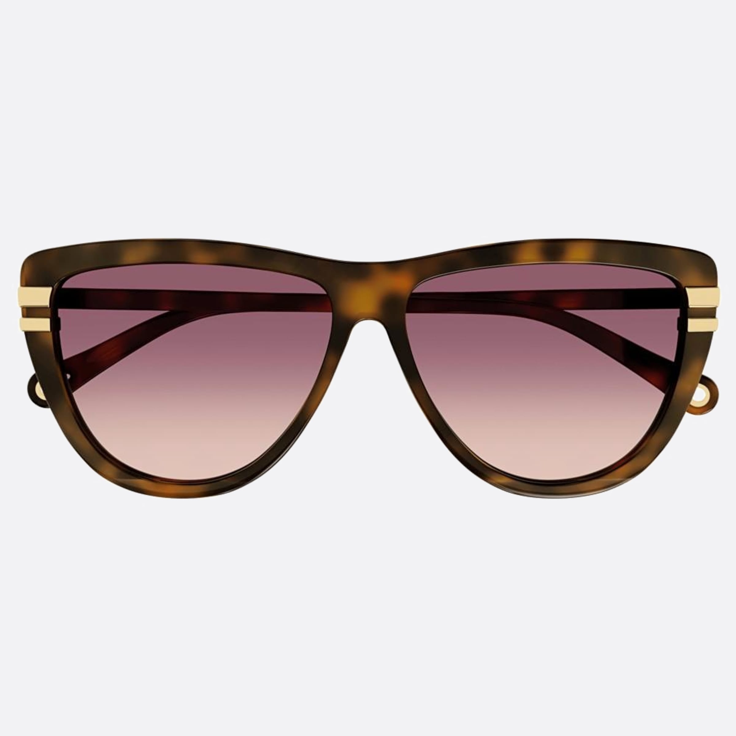 Chloe 59mm Havana Squared Women Sunglasses - Main View