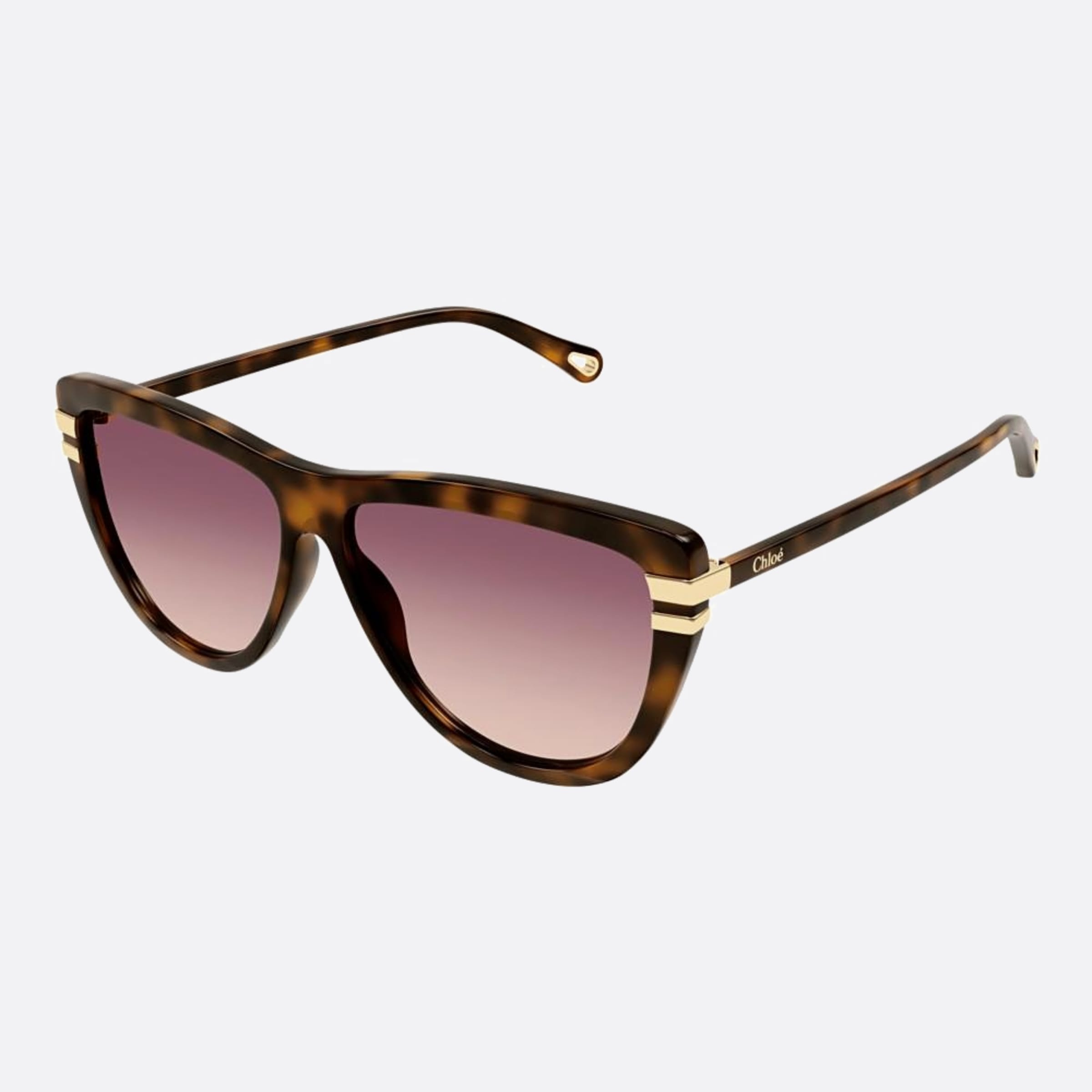 Chloe 59mm Havana Squared Women Sunglasses - Side View