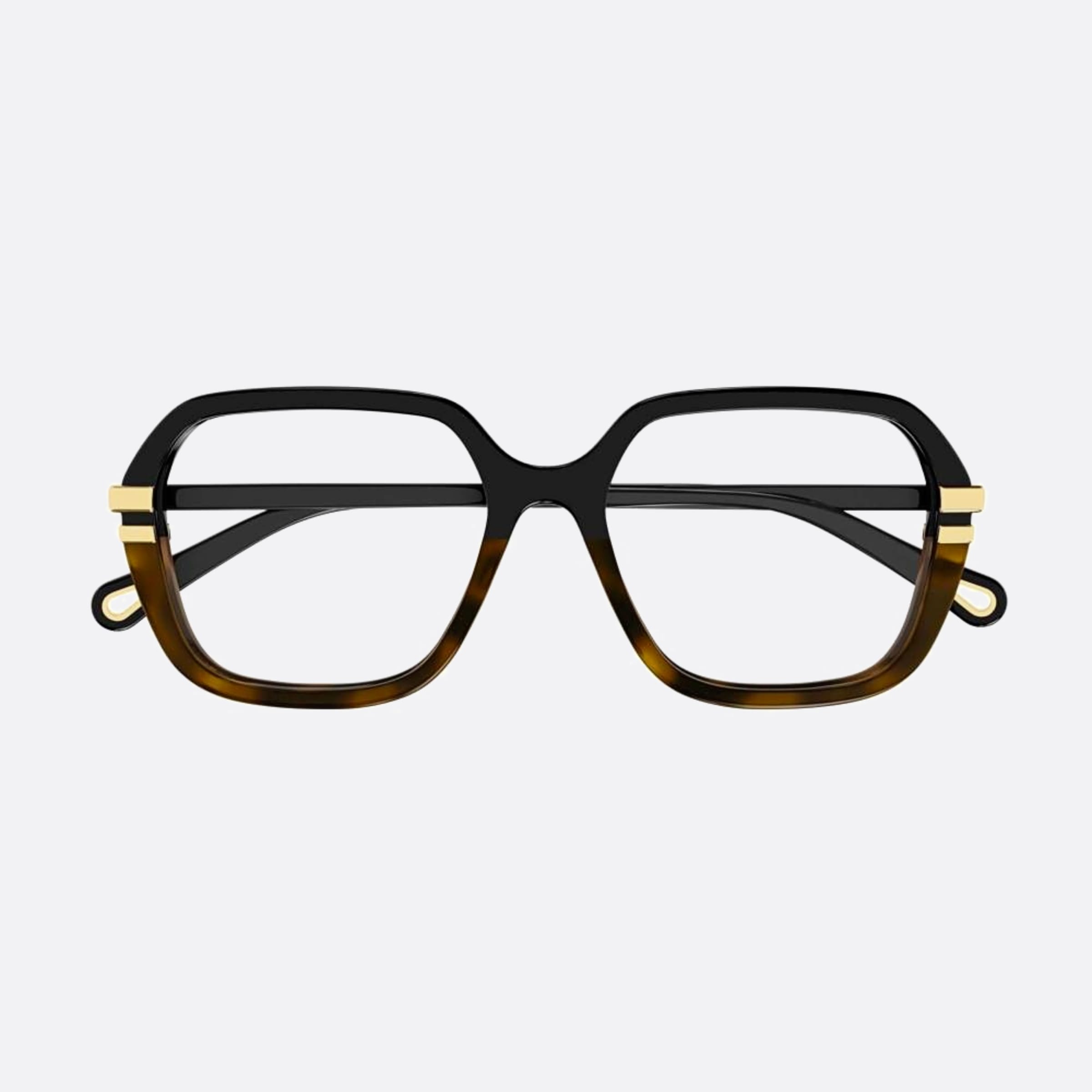 Chloe 53mm Havana Squared Women Eyeglasses - Main View