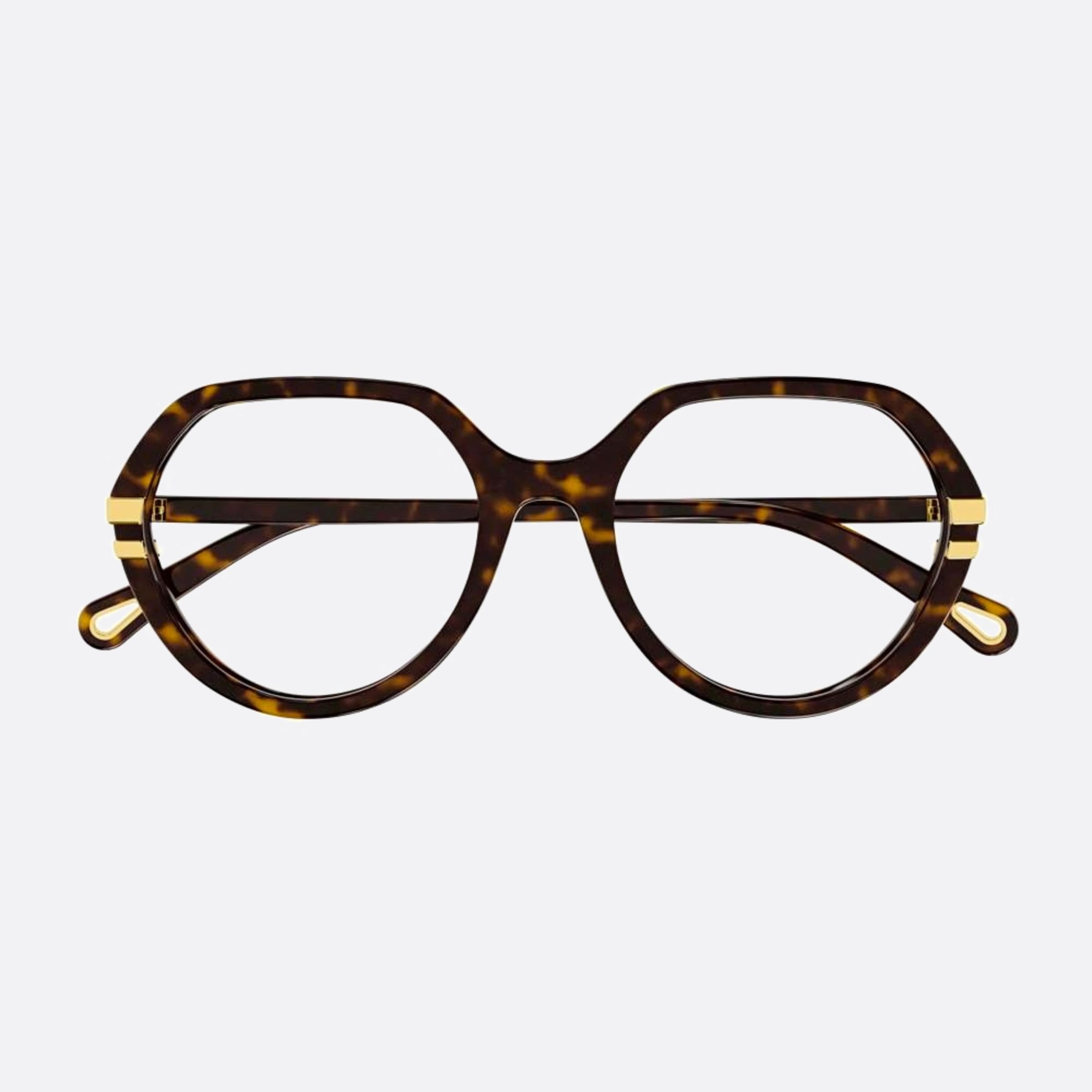 Chloe 54mm Havana Round Women Eyeglasses - Main View
