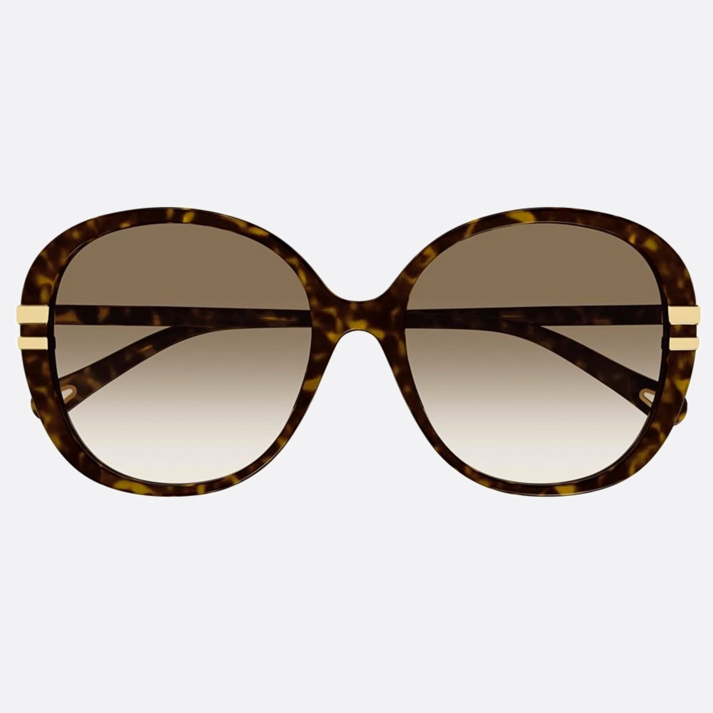 Chloe 58mm Ch0207sk Hbb Havana Oversize Women Sunglasses - Main View