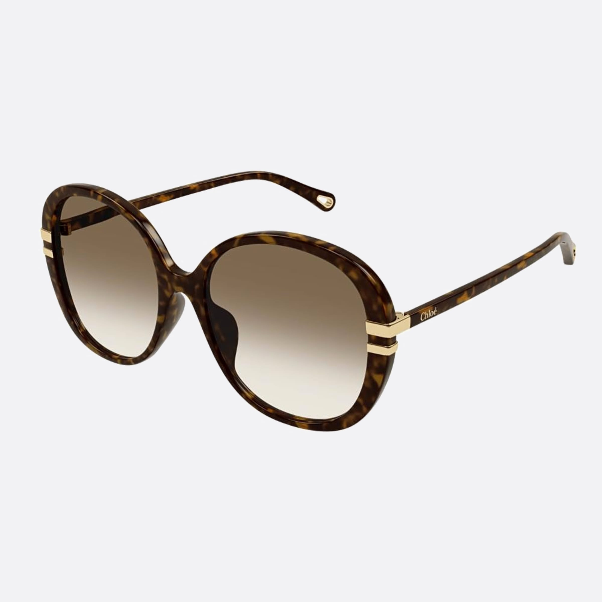 Chloe 58mm Ch0207sk Hbb Havana Oversize Women Sunglasses - Side View