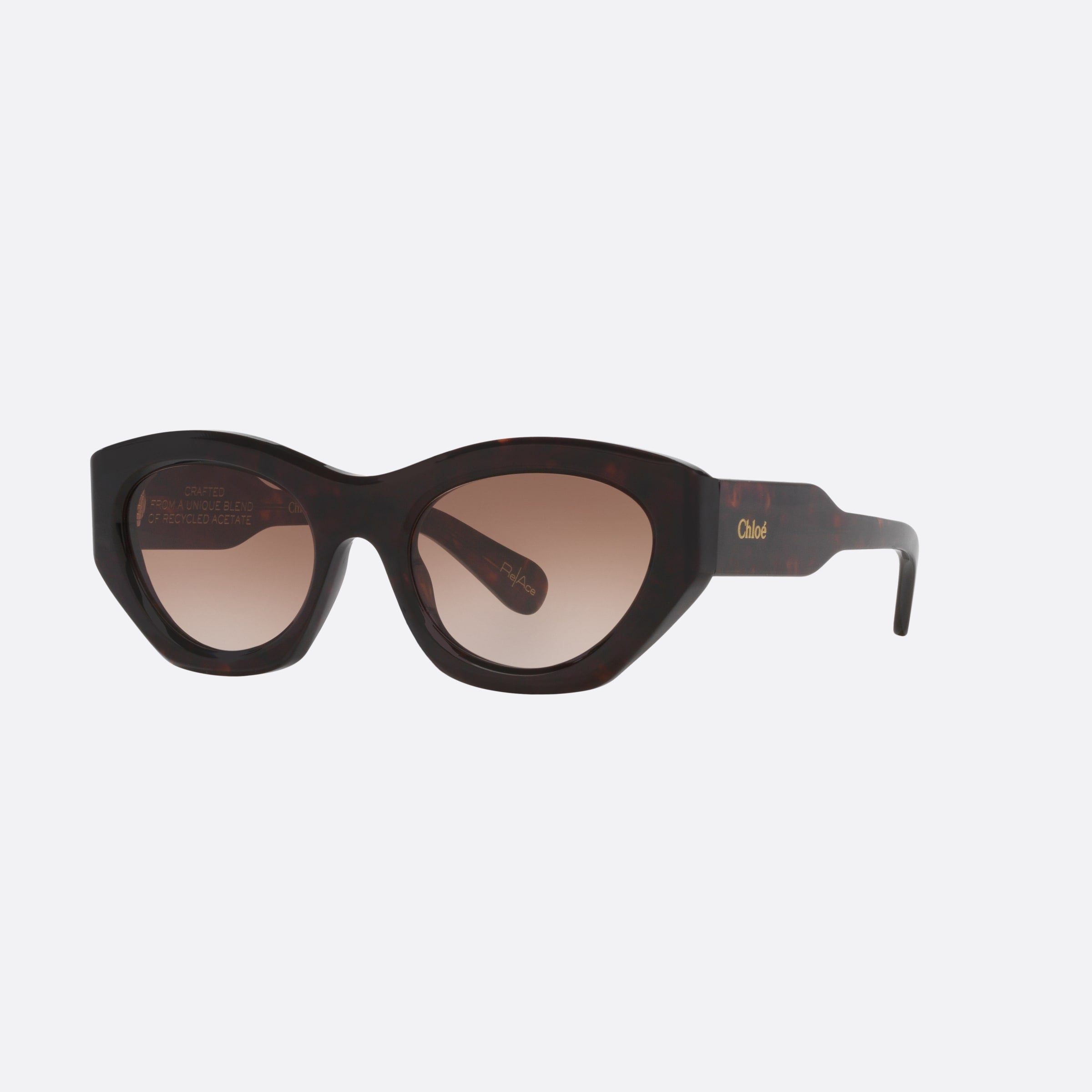 Chloe 53mm Dhbs Tortoise Cat Eye Women Sunglasses - Main View