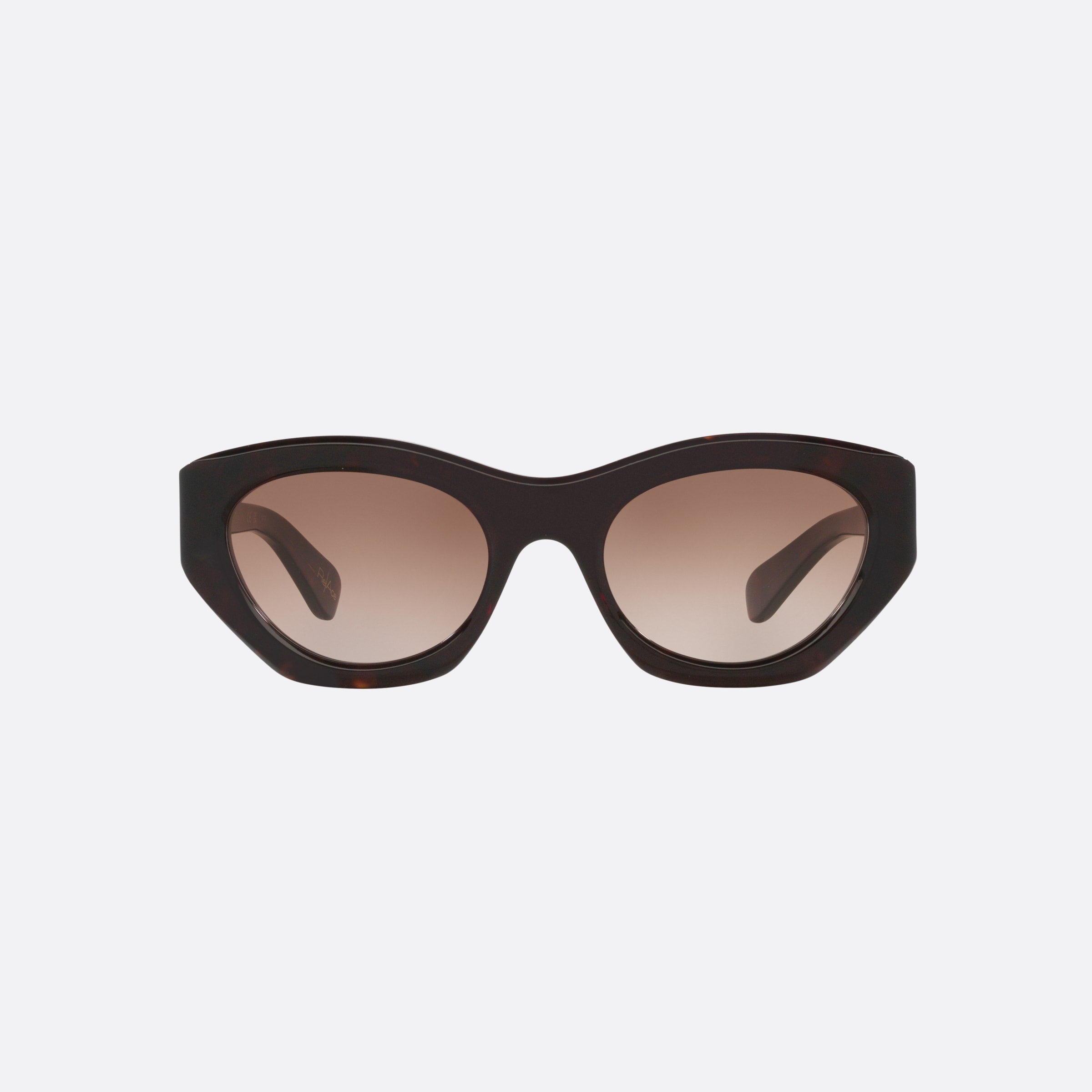 Chloe 53mm Dhbs Tortoise Cat Eye Women Sunglasses - Side View