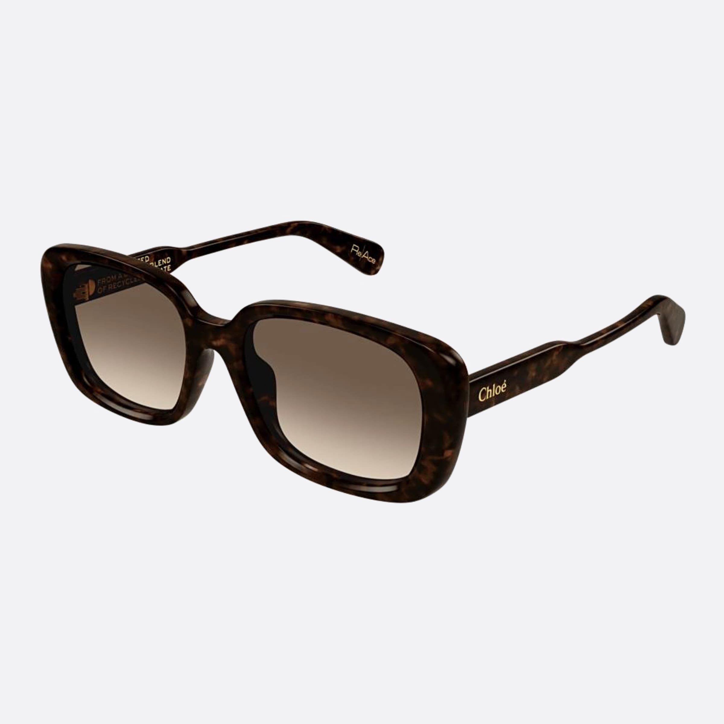 Chloe 55mm Ch0225sk Dhbs Havana Squared Women Sunglasses - Side View