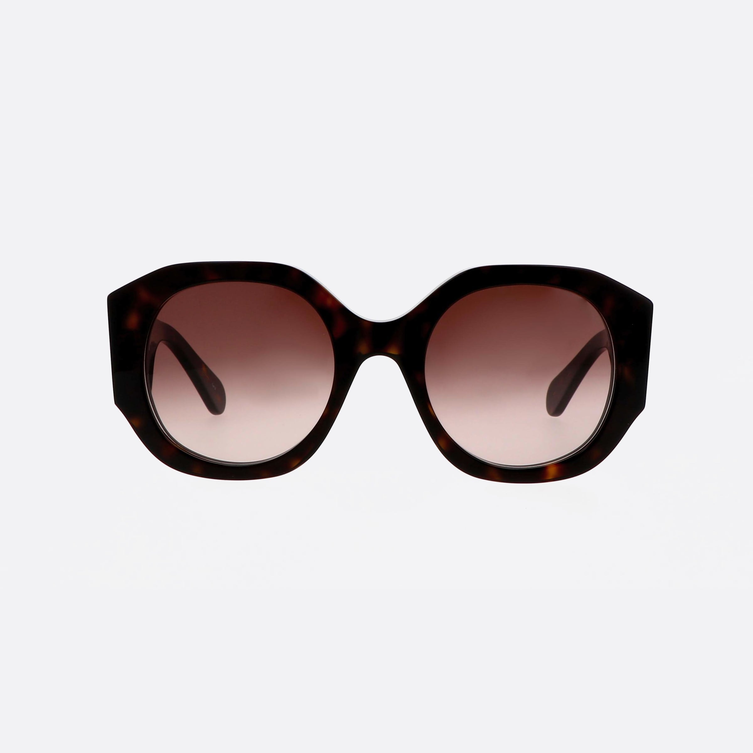 Chloe 53mm Hbb Havana Oversize Women Sunglasses - Side View