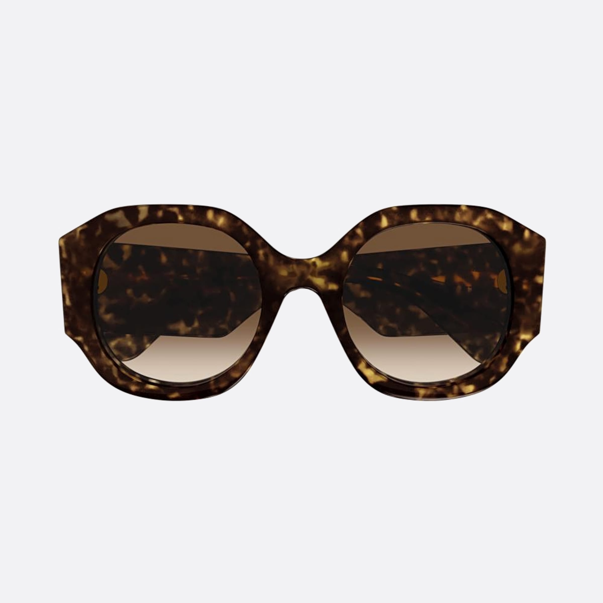 Chloe 55mm Ch0234sk Dhb Havana Oversize Women Sunglasses - Main View