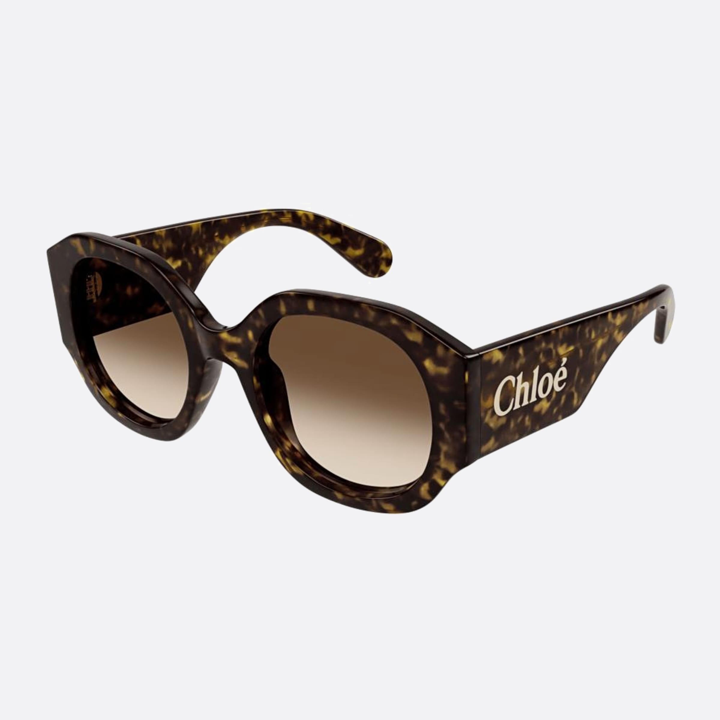 Chloe 55mm Ch0234sk Dhb Havana Oversize Women Sunglasses - Side View