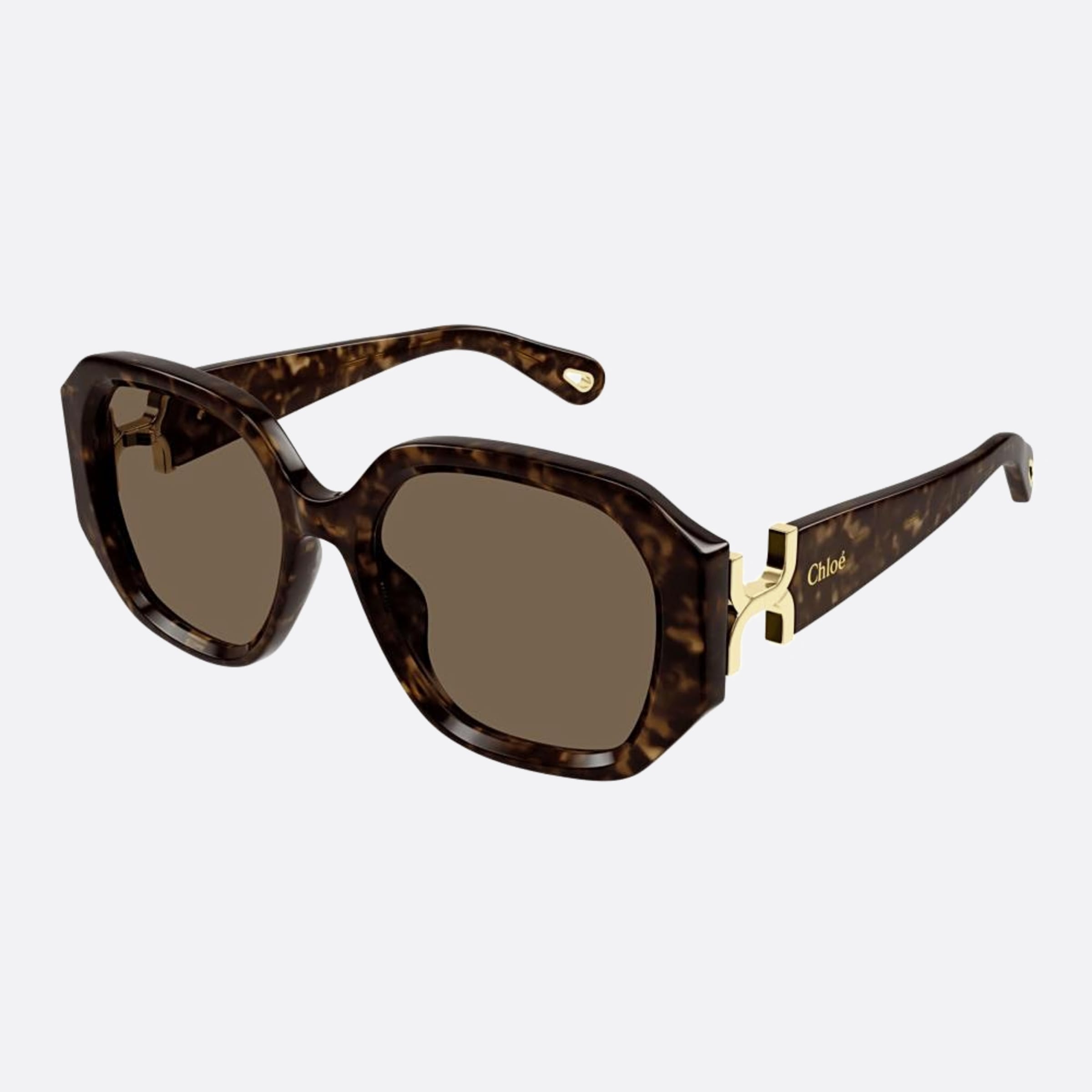 Chloe 56mm Dhb Havana Oversize Women Sunglasses - Side View