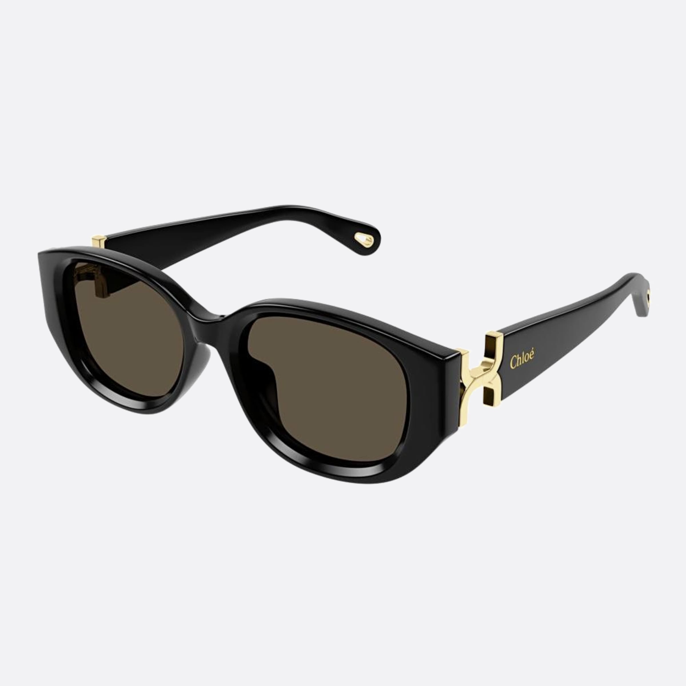 Chloe 54mm Ch0237sk Black Cat Eye Women Sunglasses - Side View