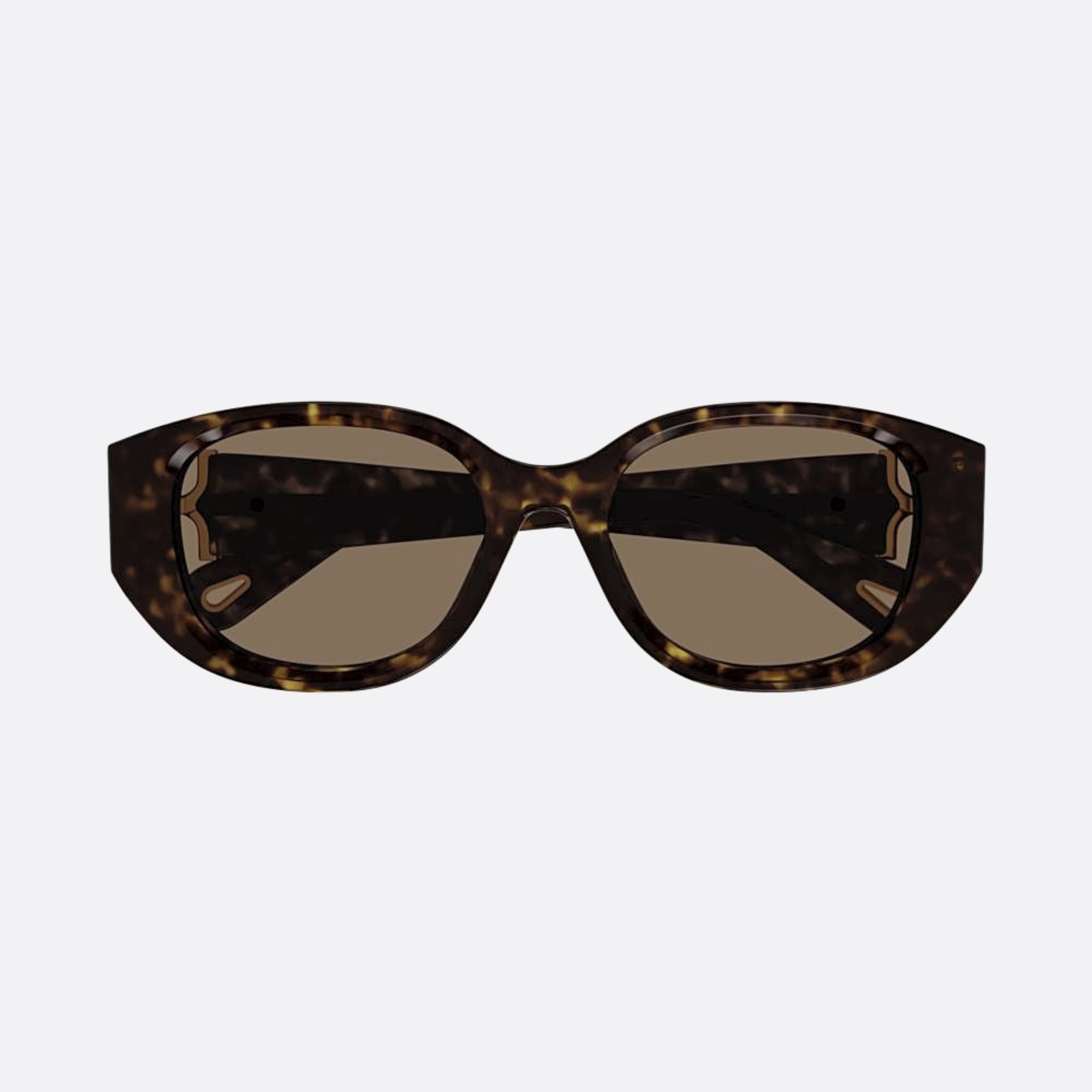 Chloe 54mm Ch0237sk Dhb Havana Cat Eye Women Sunglasses - Main View