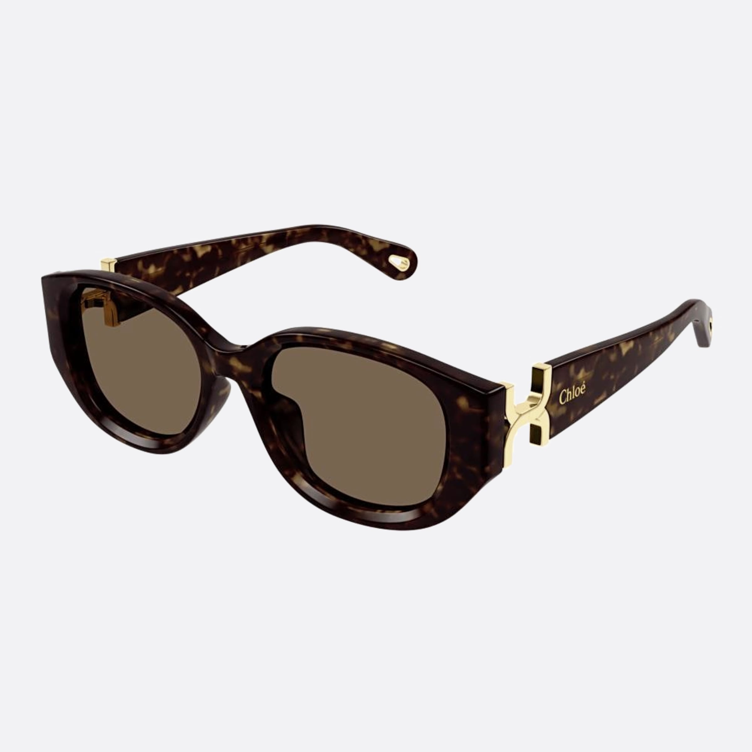 Chloe 54mm Ch0237sk Dhb Havana Cat Eye Women Sunglasses - Side View