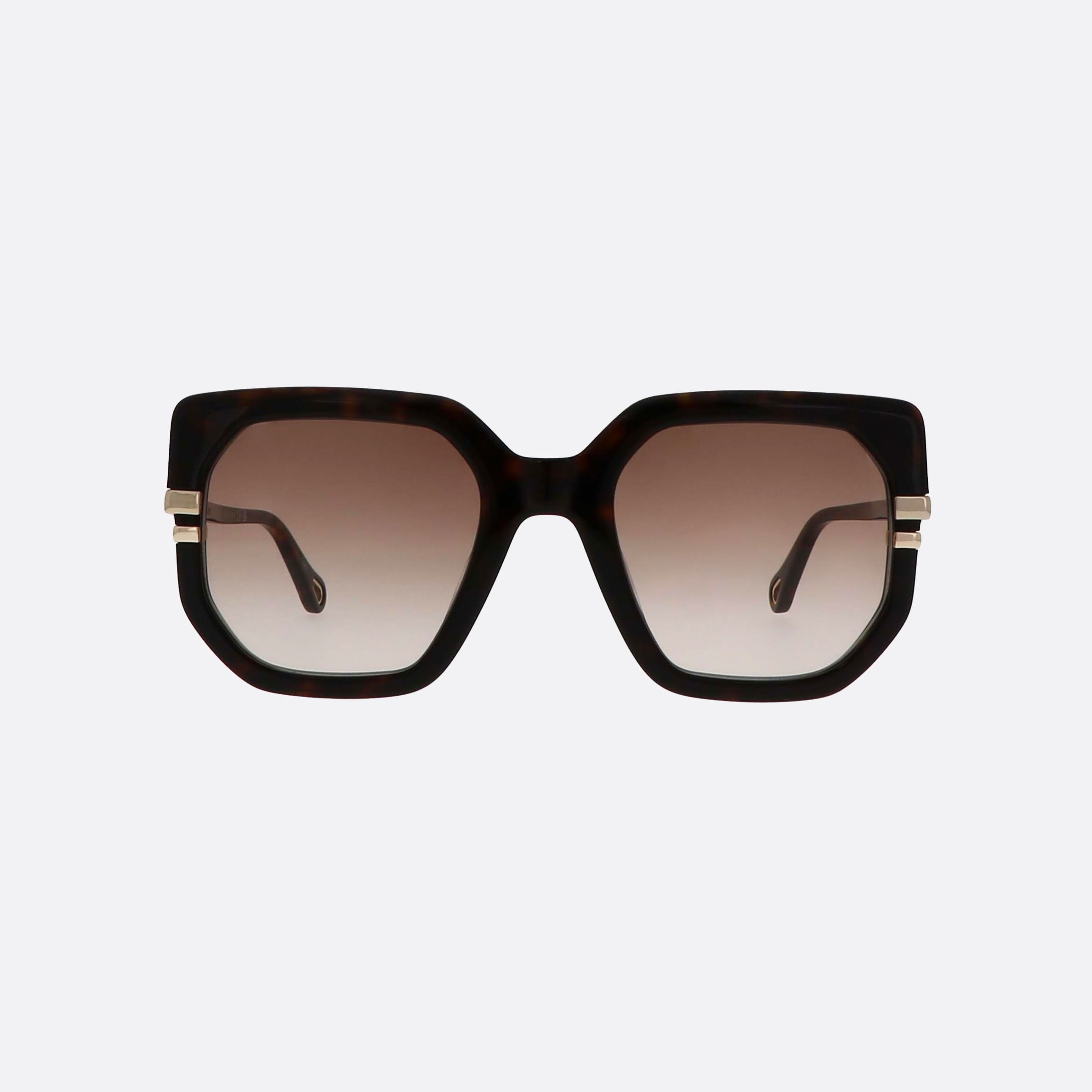 Chloe 53mm Hbbn Havana Butterfly Women Sunglasses - Side View