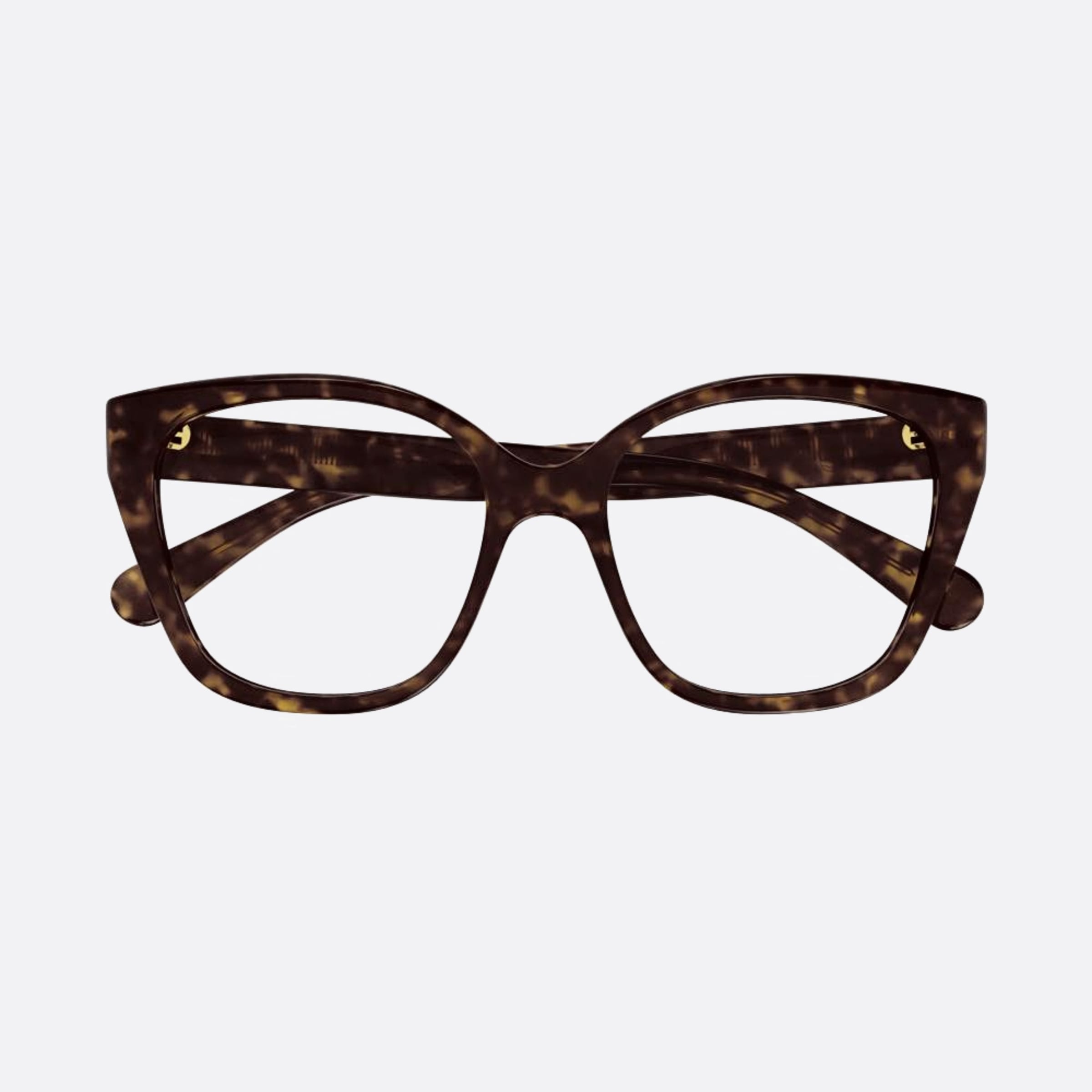 Chloe 53mm Havana Cat Eye Women Eyeglasses - Main View
