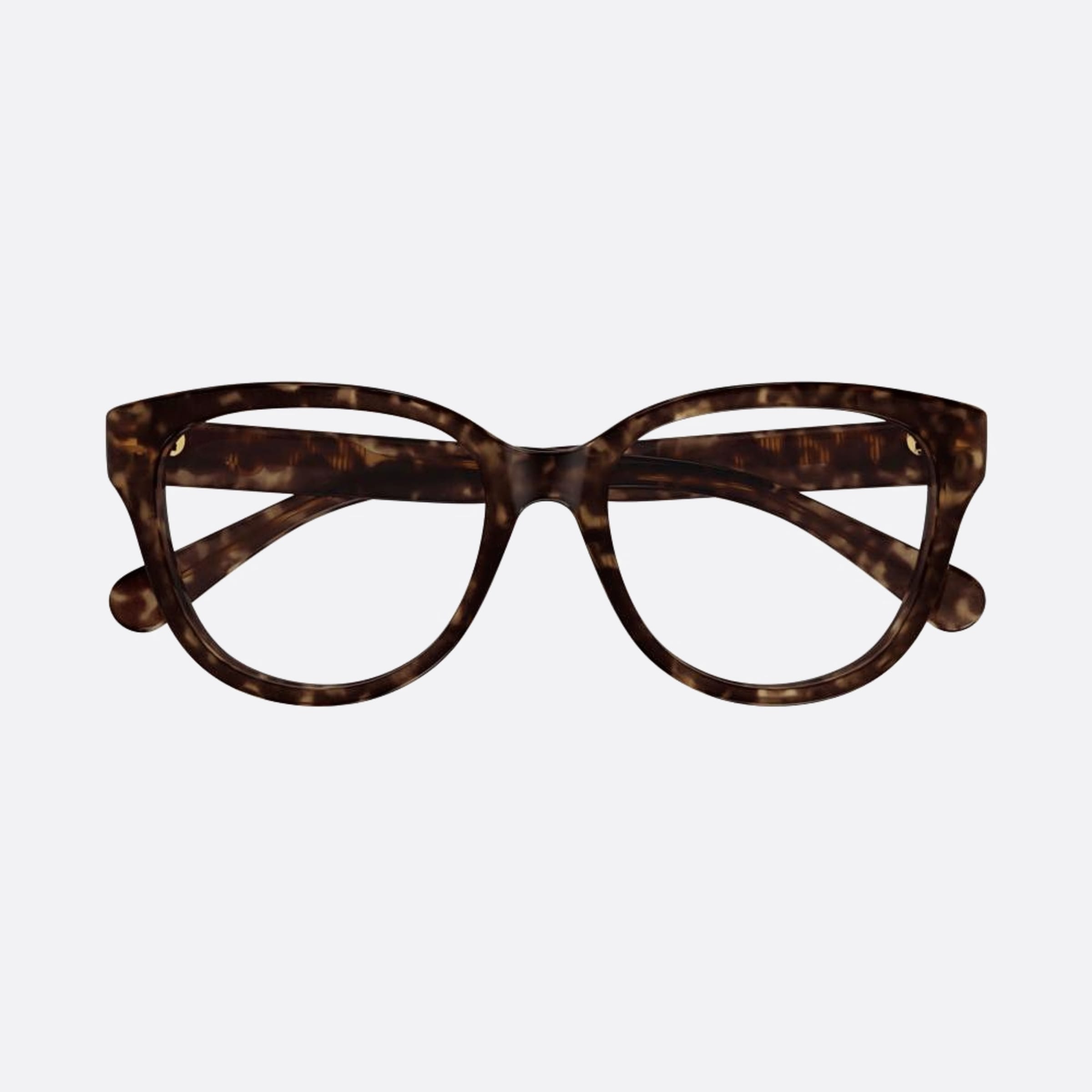 Chloe 53mm Havana Cat Eye Women Eyeglasses - Main View