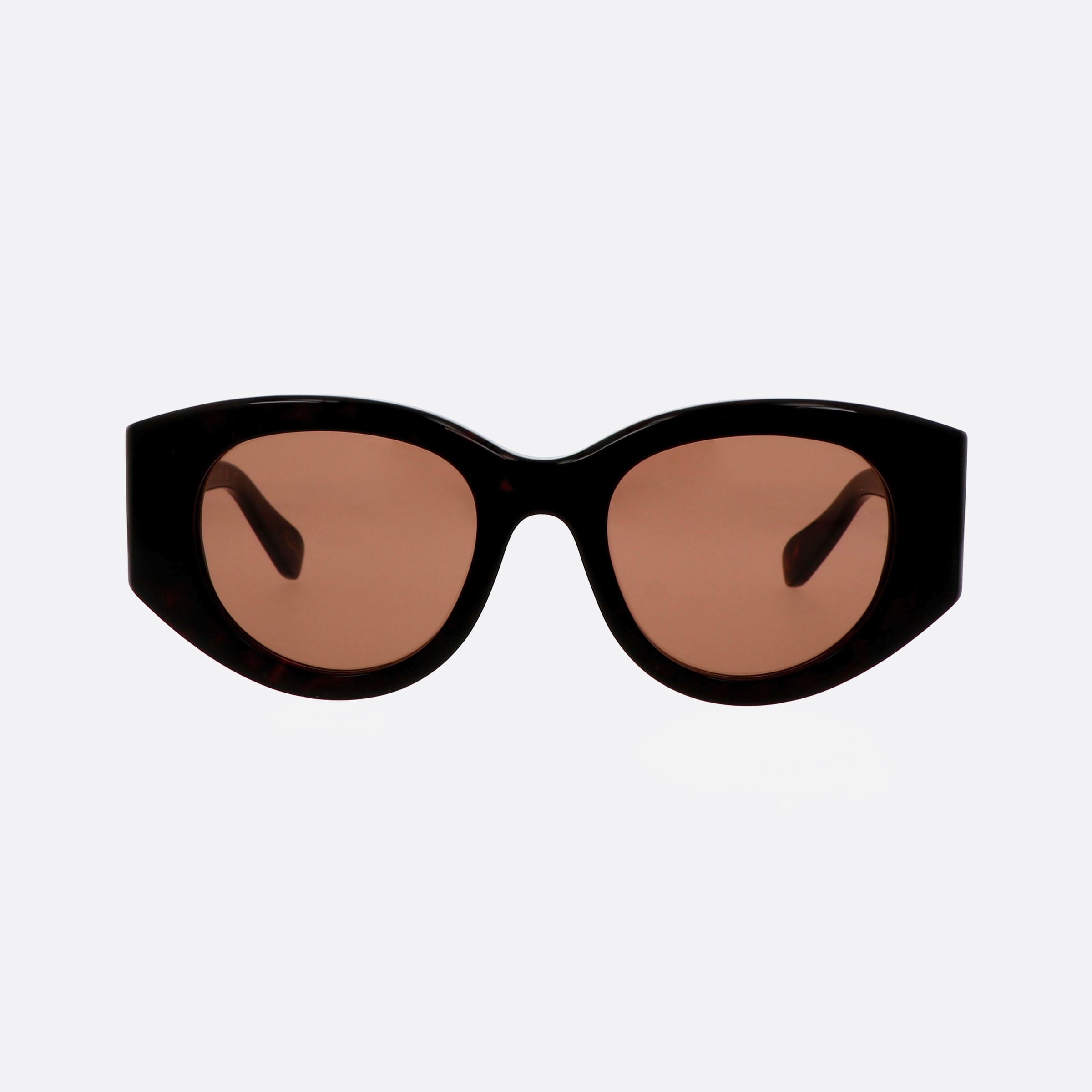Chloe 51mm Hvbr Havana Pantos Women Sunglasses - Side View