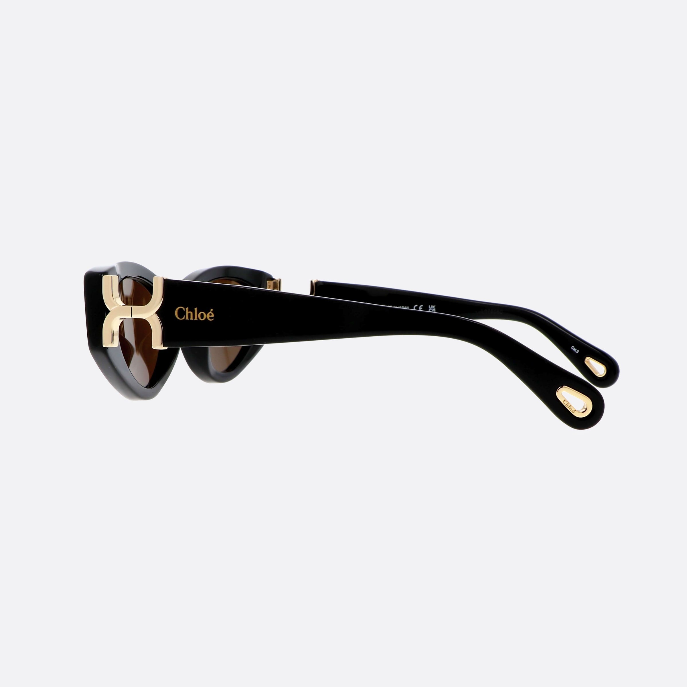 Chloe 52mm Bkbr Black Cat Eye Women Sunglasses - Detail View