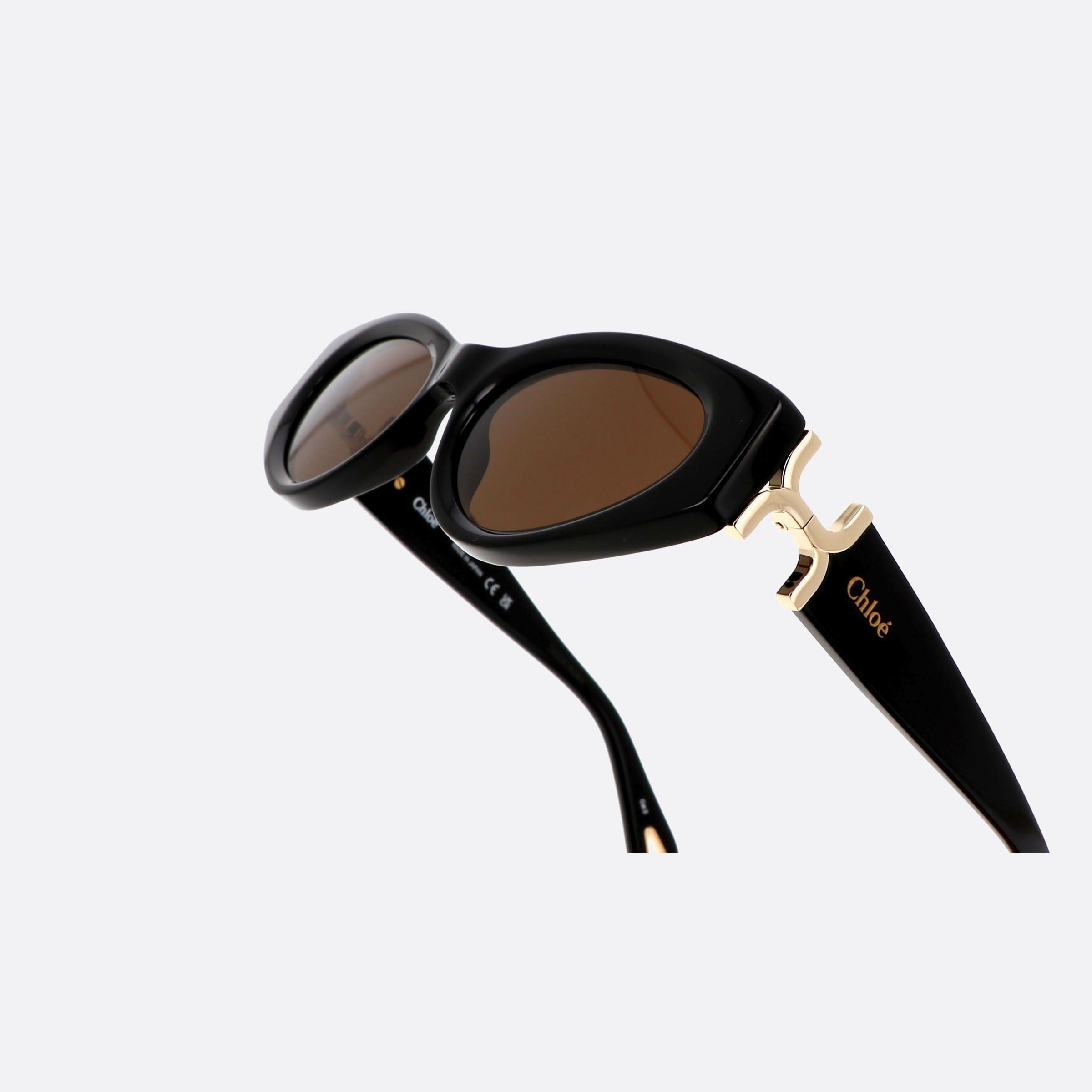 Chloe 52mm Bkbr Black Cat Eye Women Sunglasses - Lifestyle Shot
